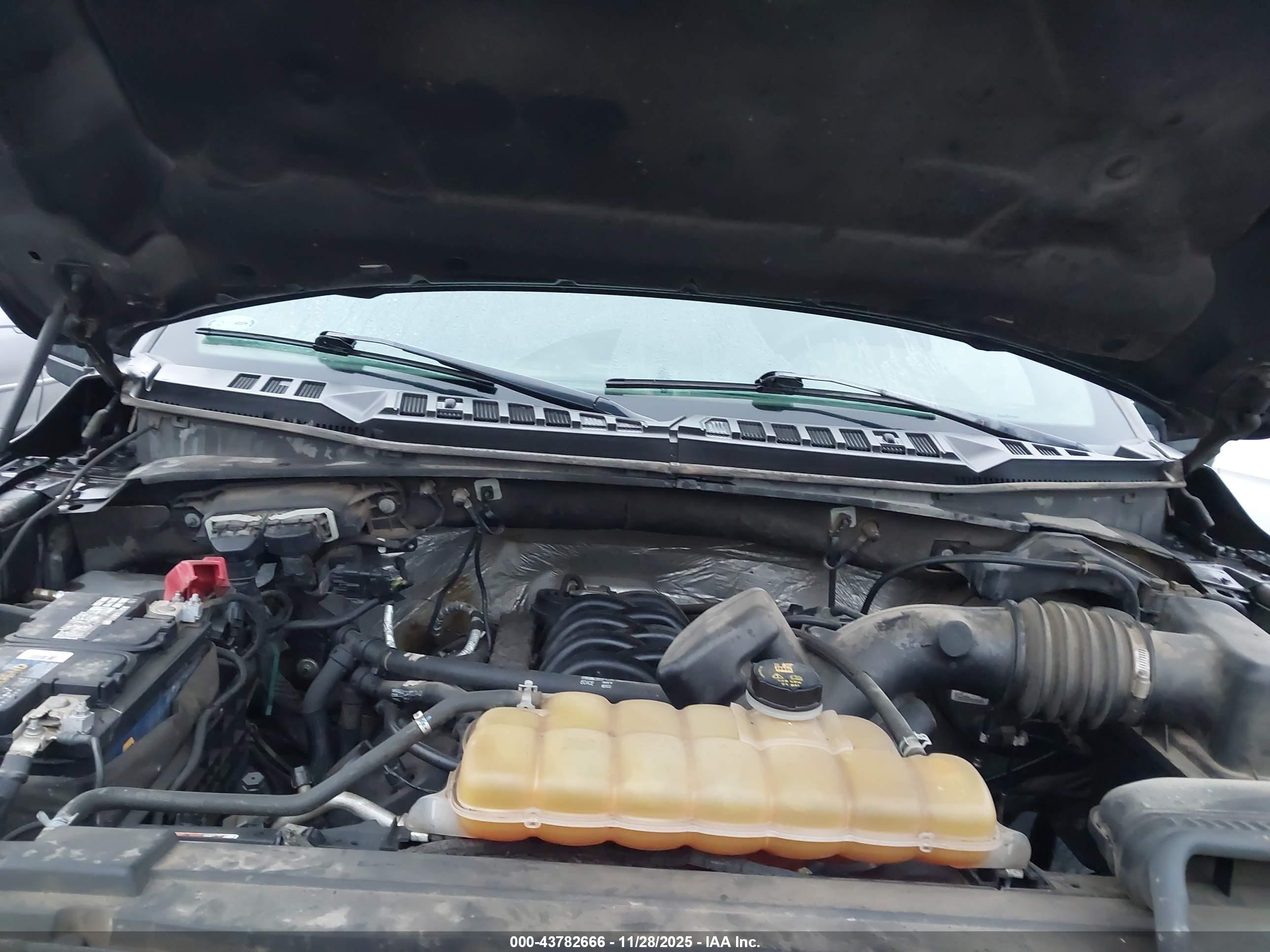 FORD F-150 image 10