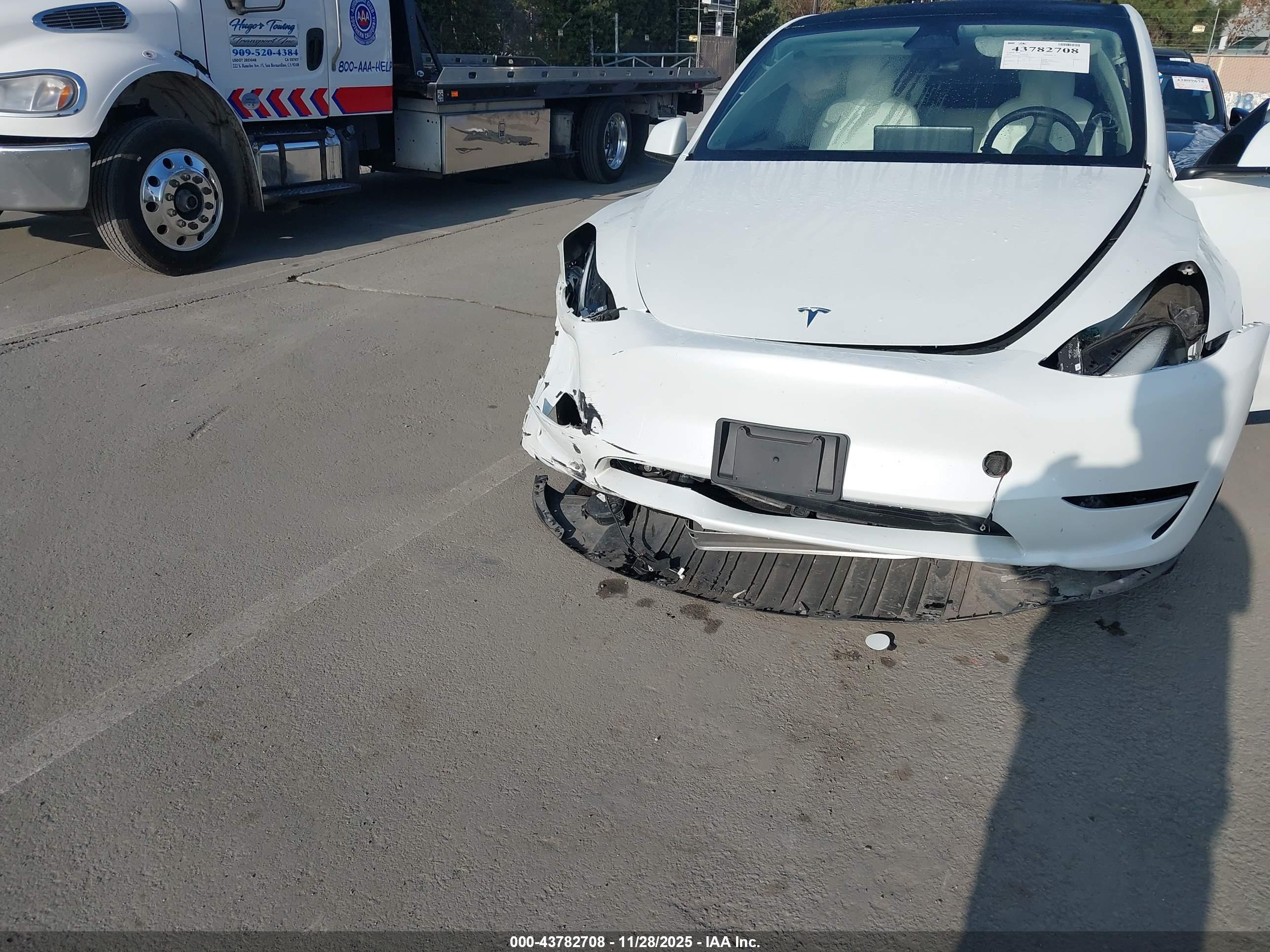 TESLA MODEL image 6