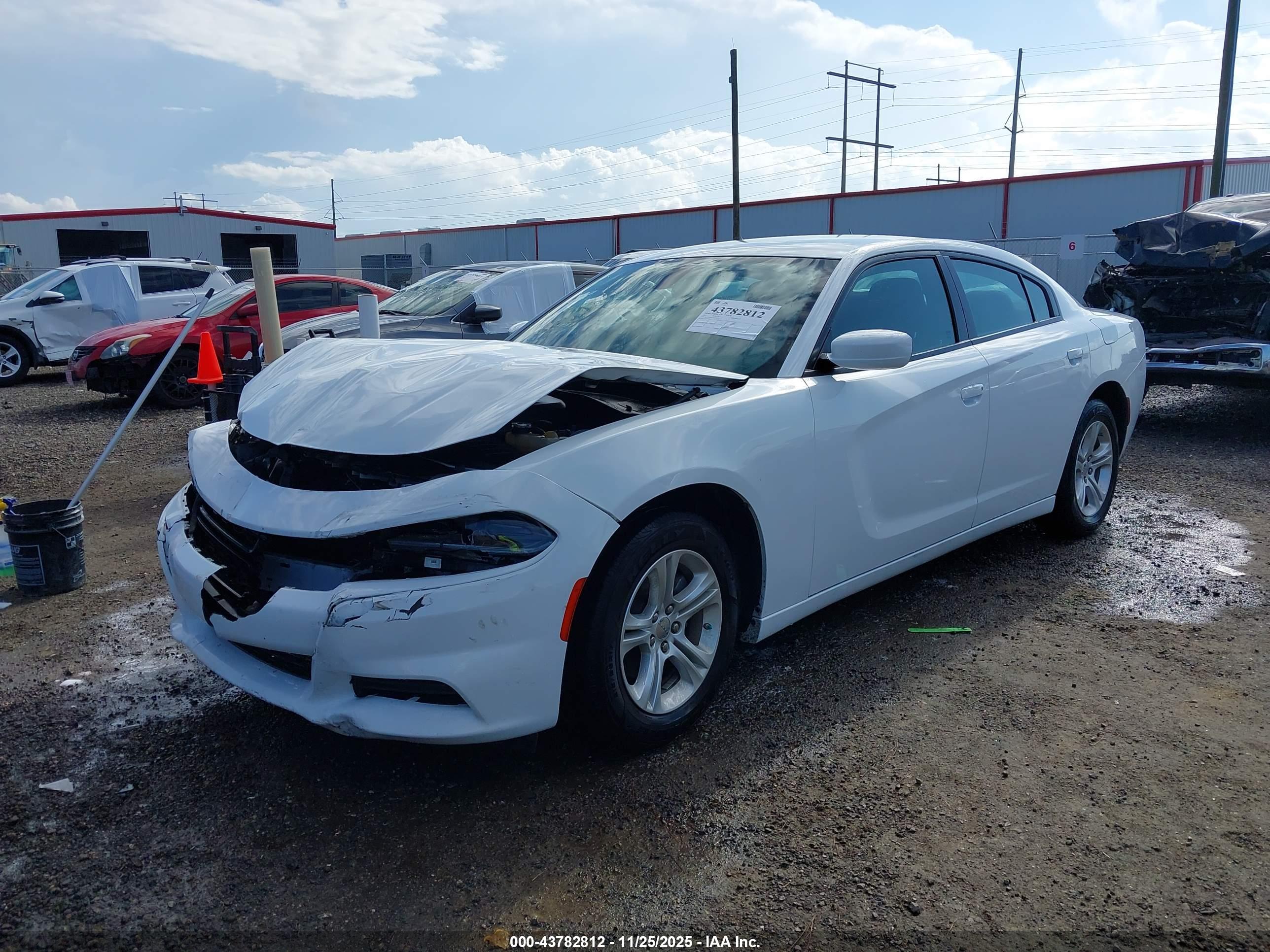 DODGE CHARGER image 2
