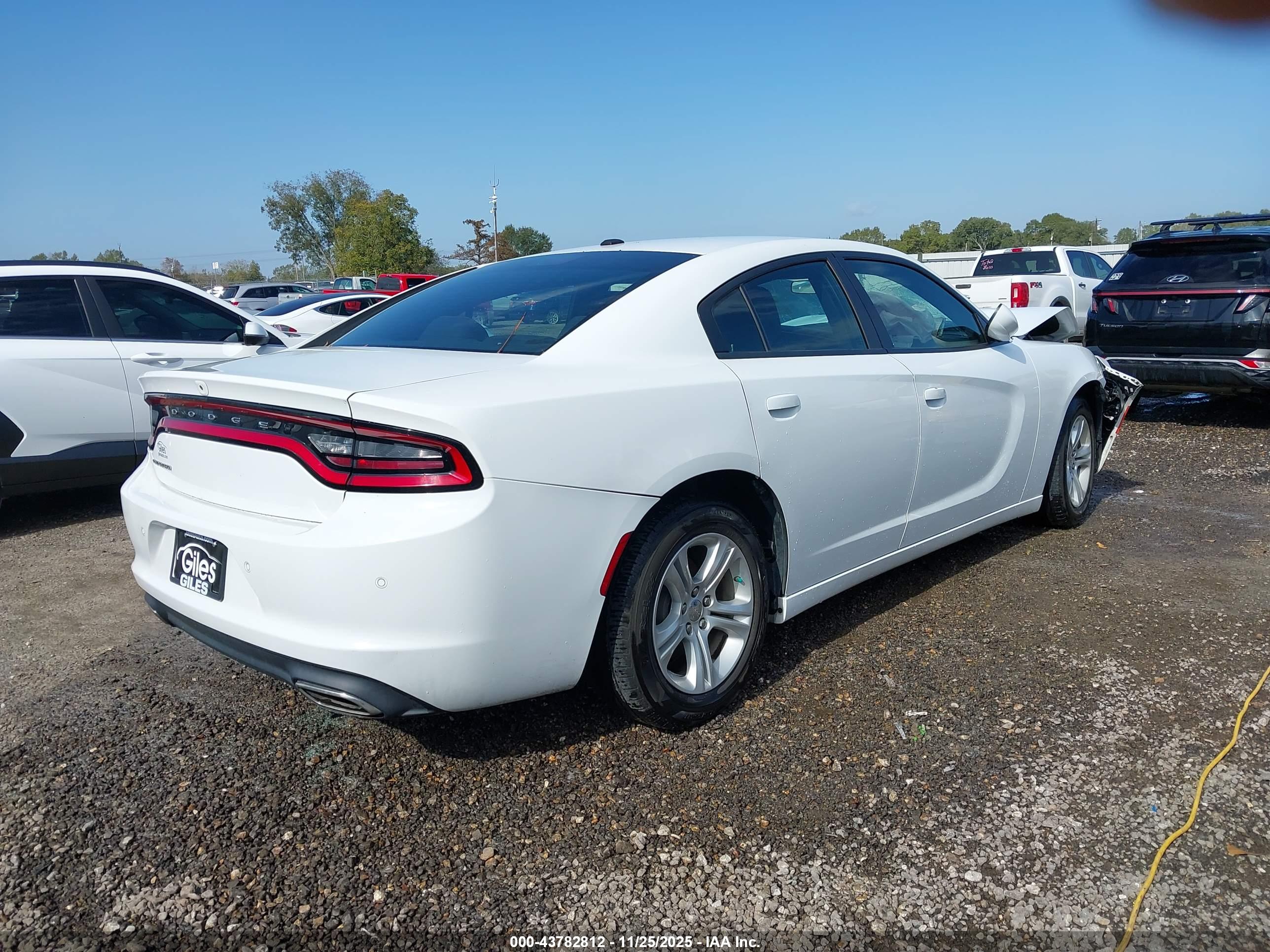 DODGE CHARGER image 4
