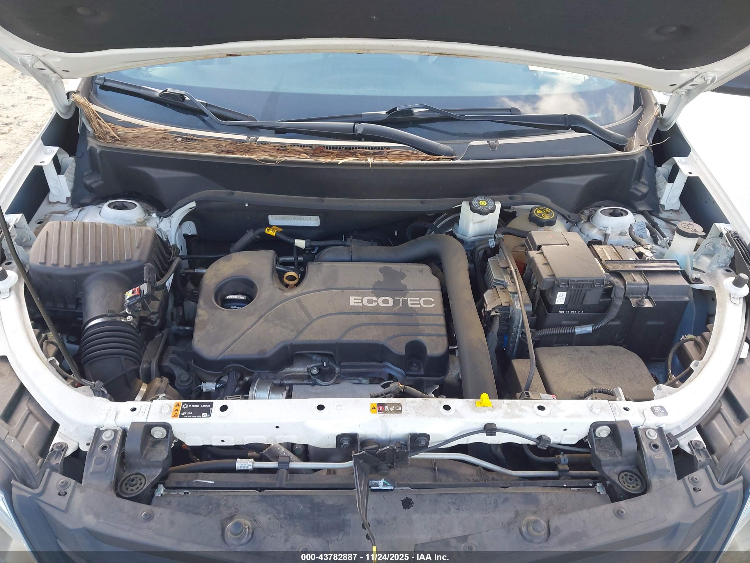 CHEVROLET EQUINOX image 10