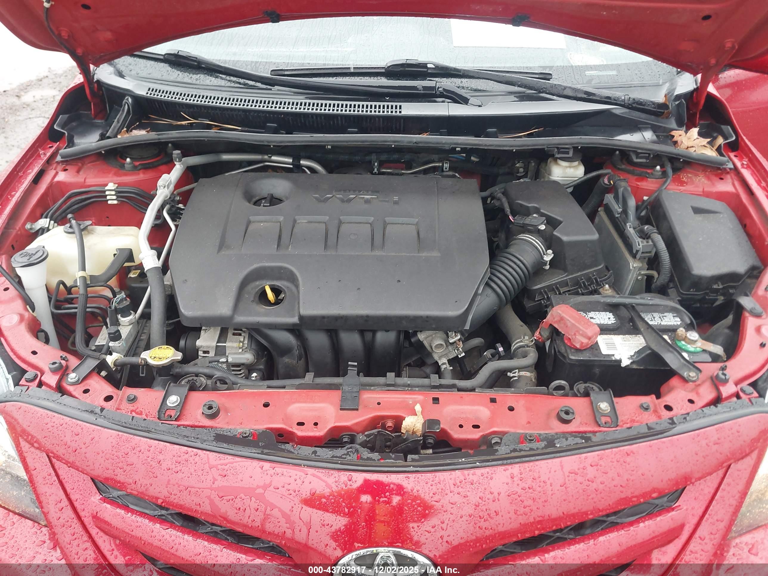 TOYOTA COROLLA image 10