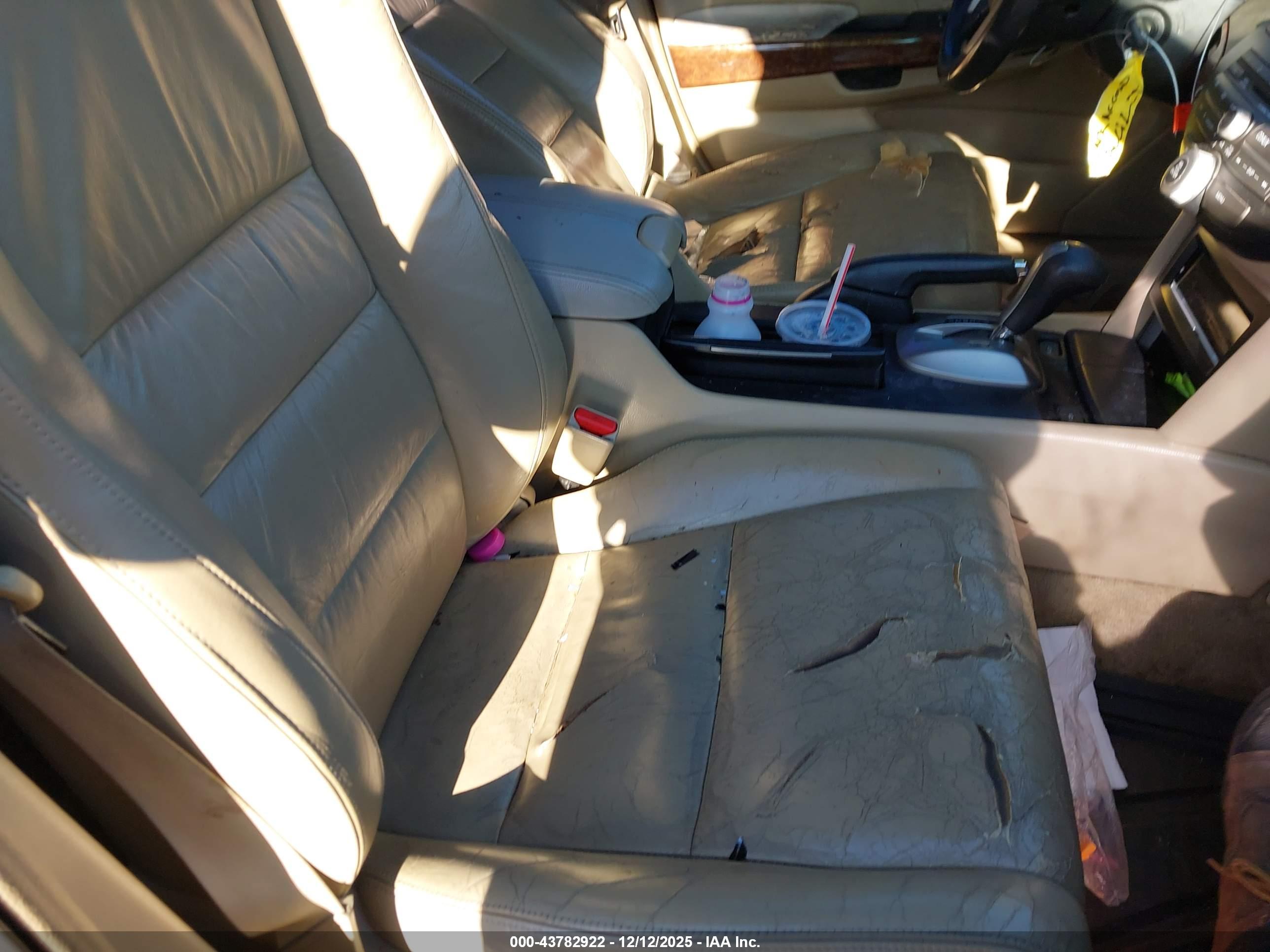 HONDA ACCORD image 5