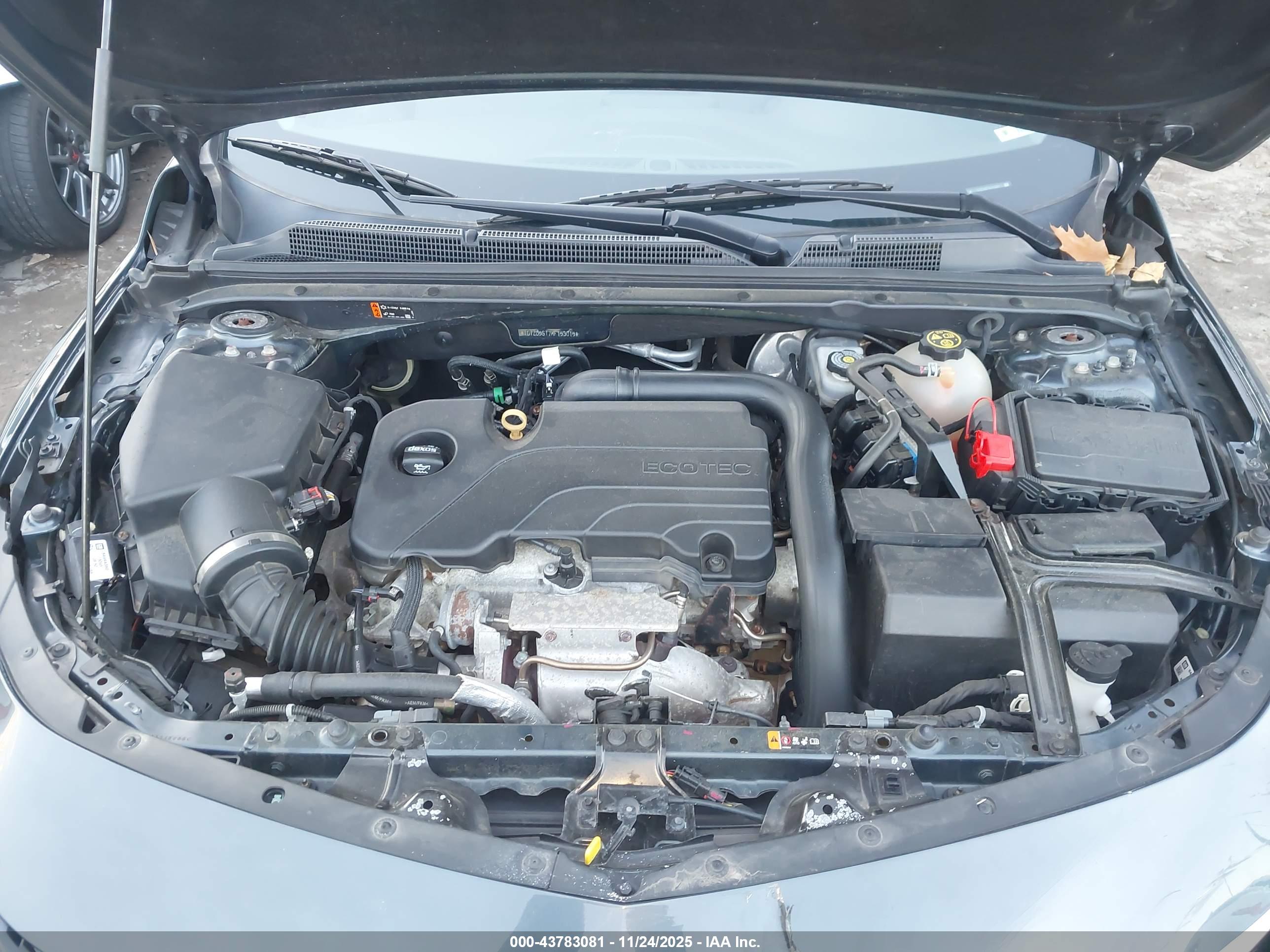 CHEVROLET MALIBU image 10