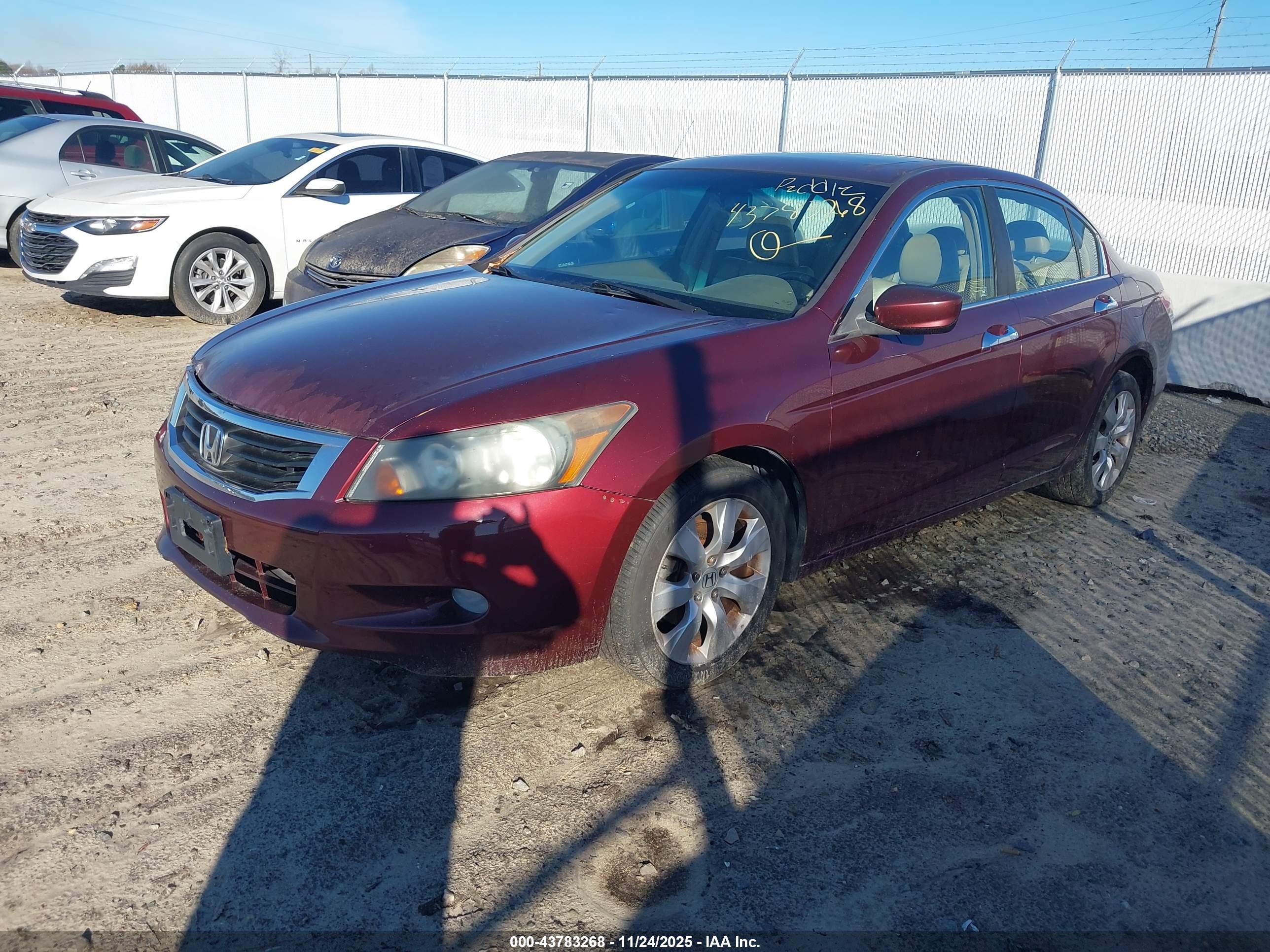 HONDA ACCORD image 2