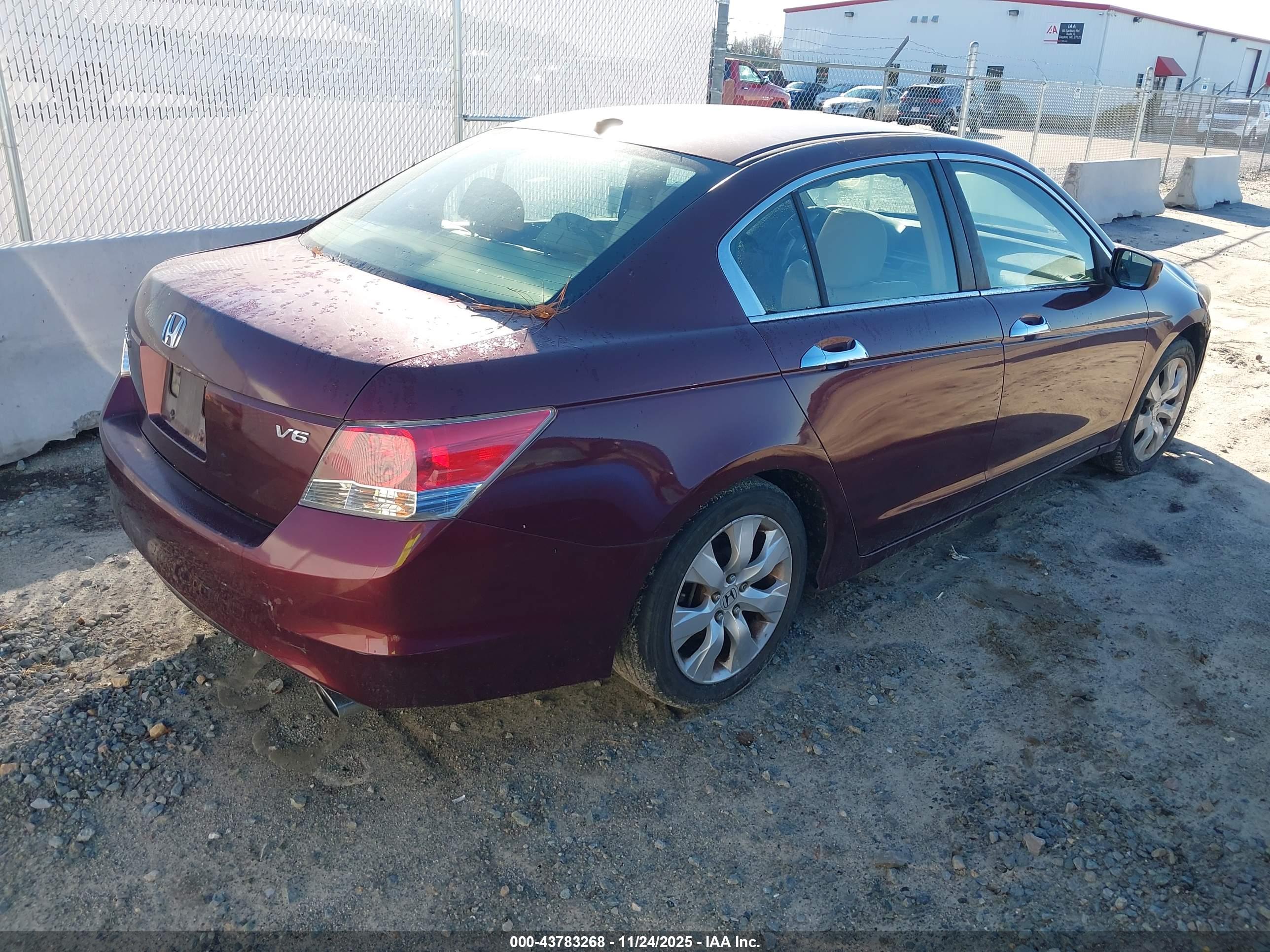 HONDA ACCORD image 4