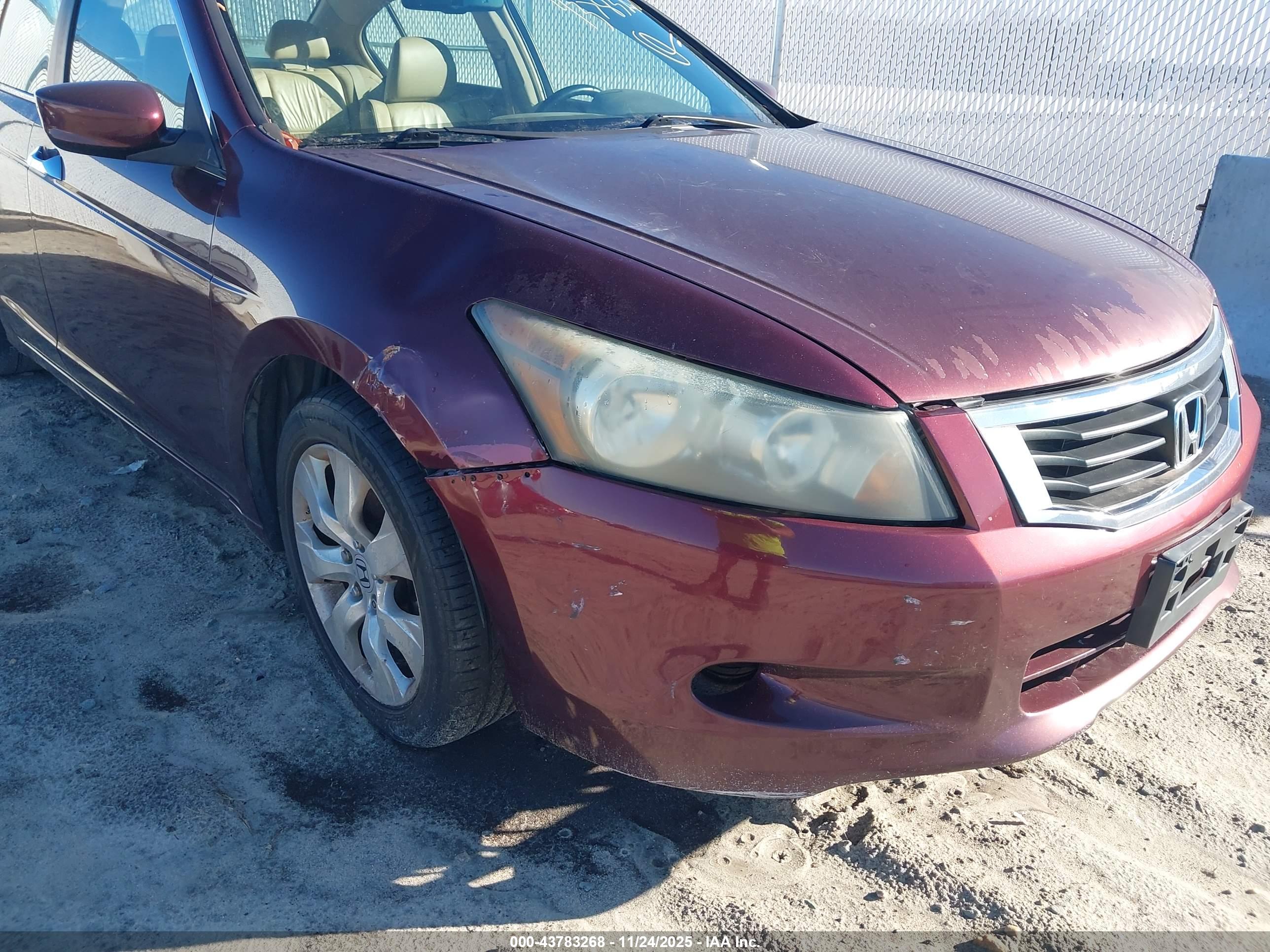 HONDA ACCORD image 6