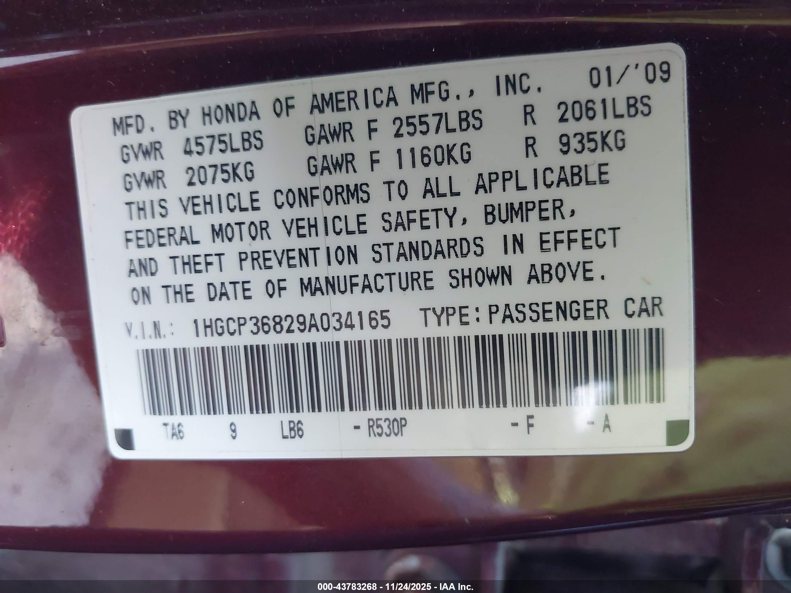 HONDA ACCORD image 9