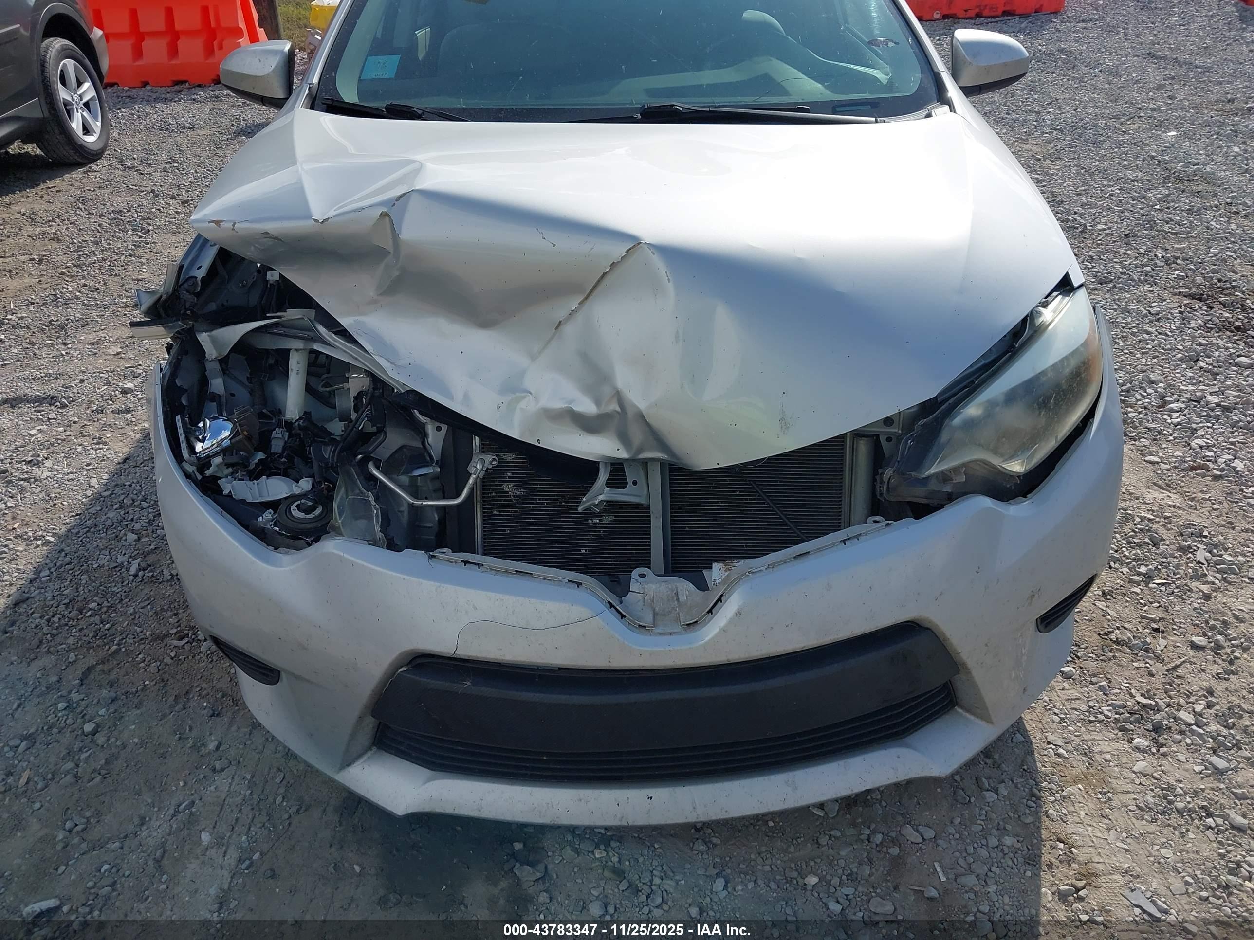 TOYOTA COROLLA image 6