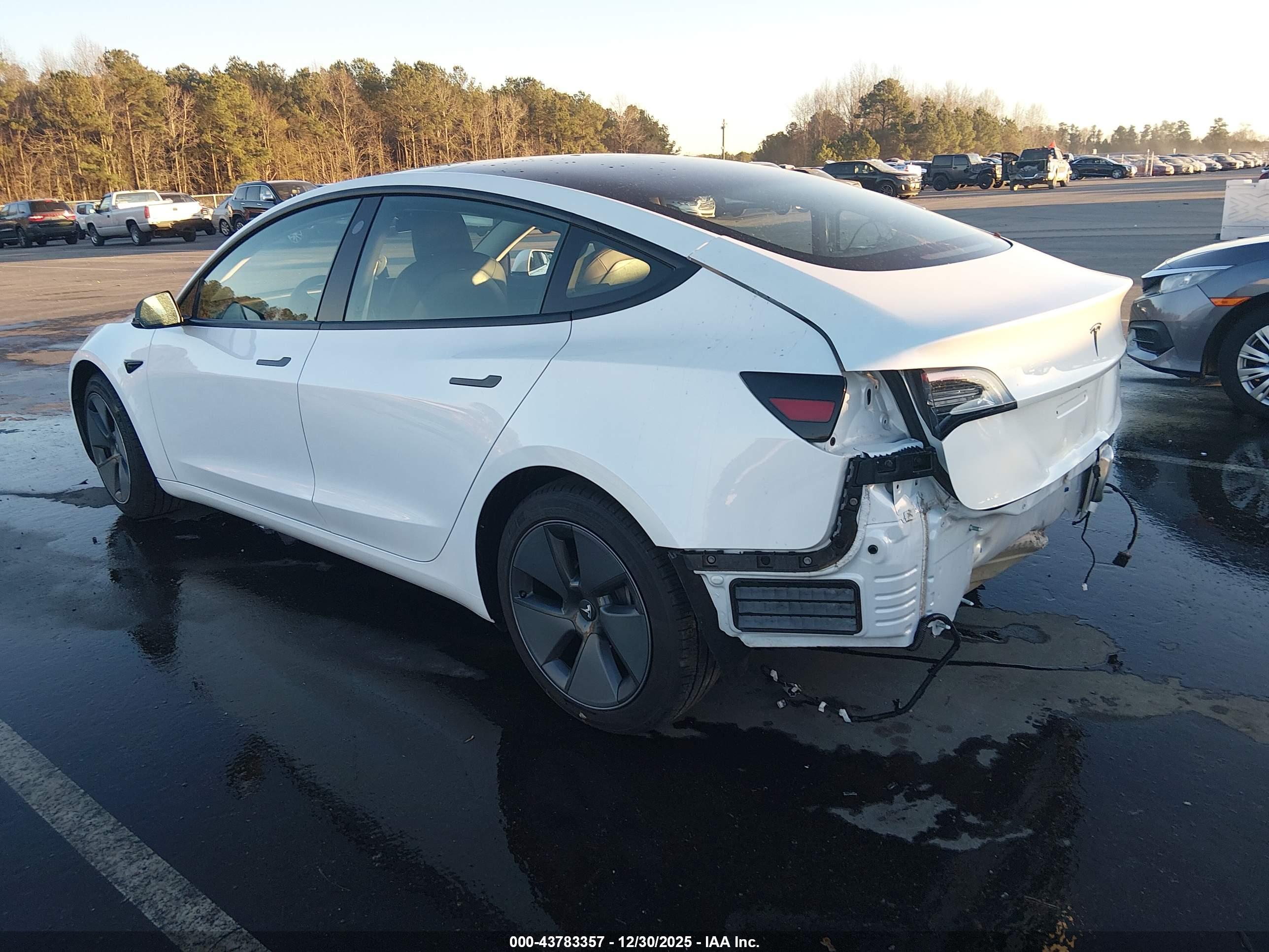 TESLA MODEL image 3