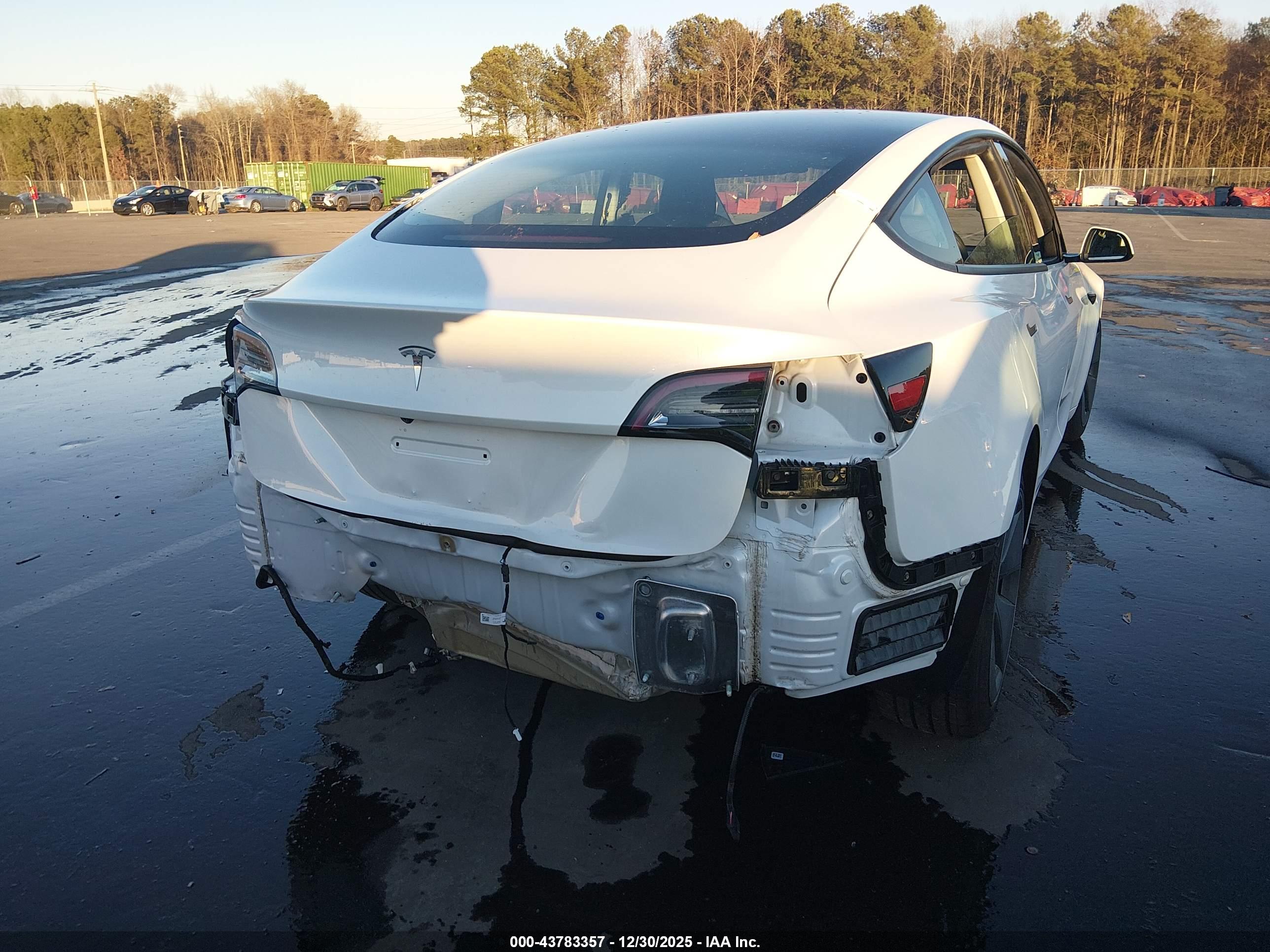 TESLA MODEL image 6
