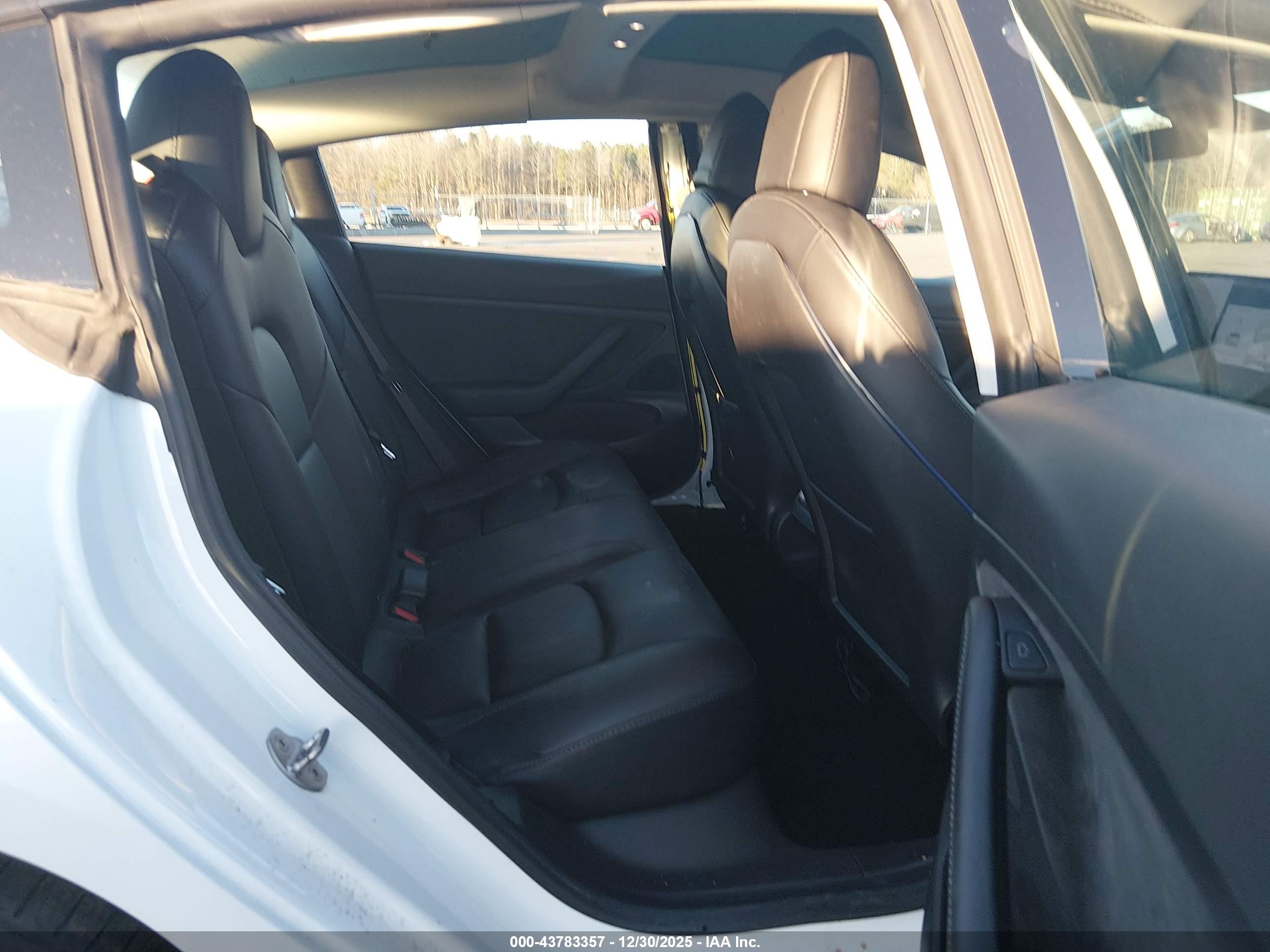 TESLA MODEL image 8