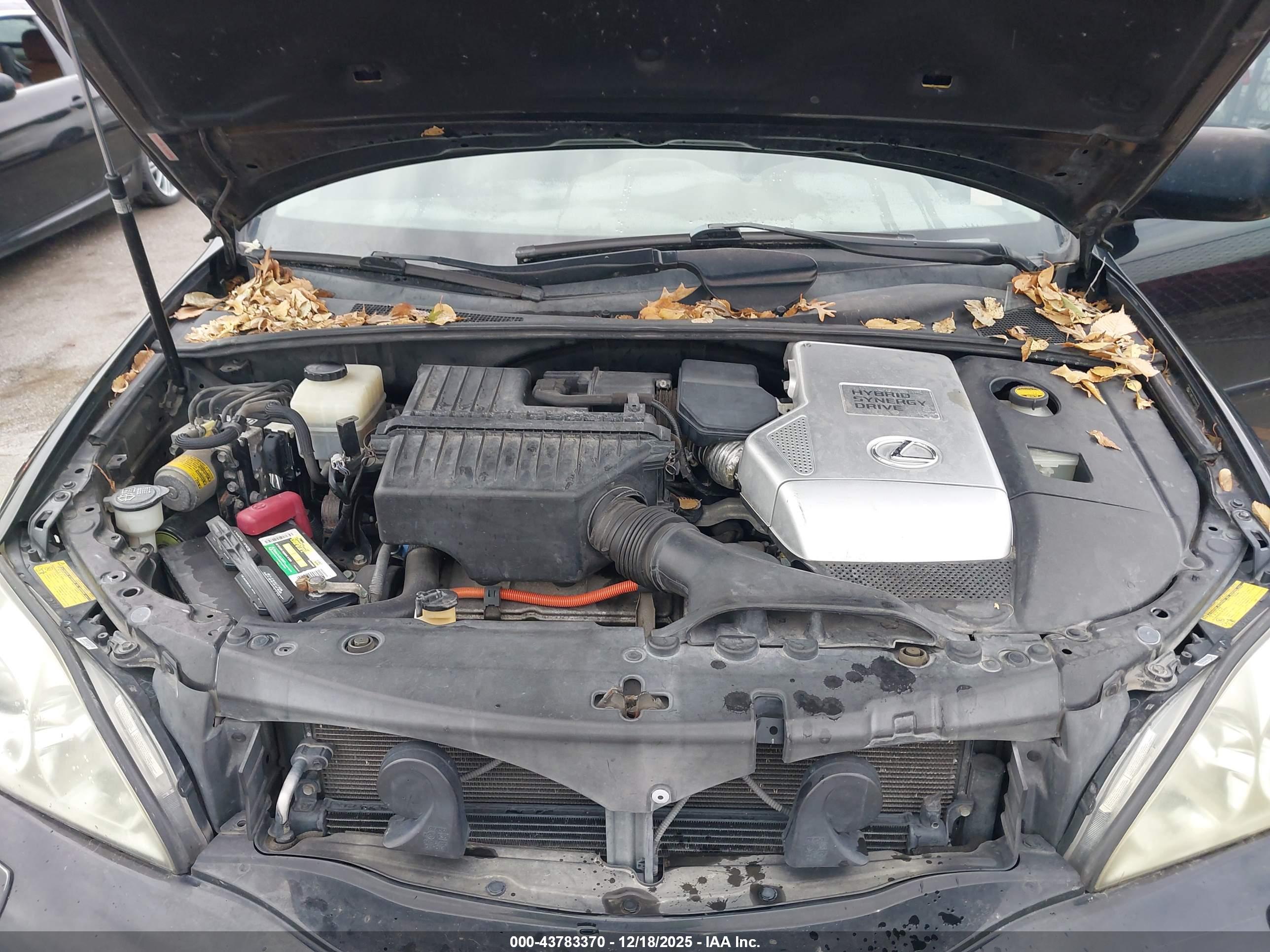 LEXUS RX image 10