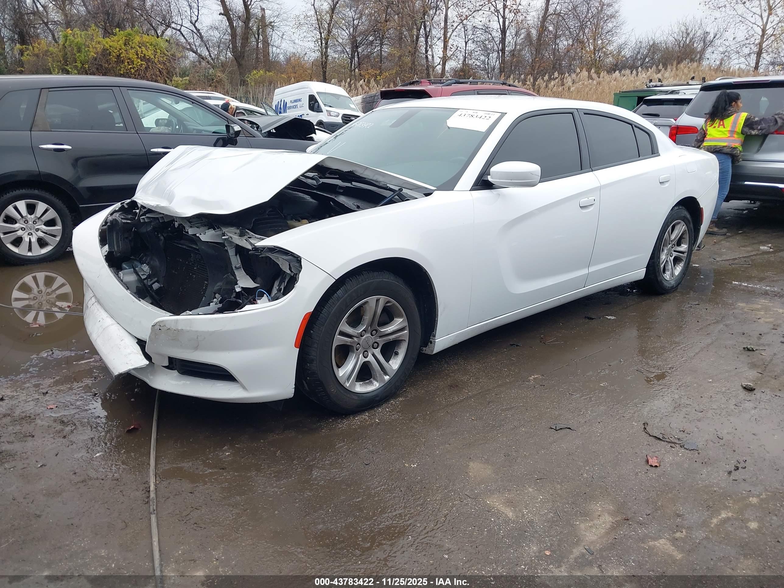 DODGE CHARGER image 2