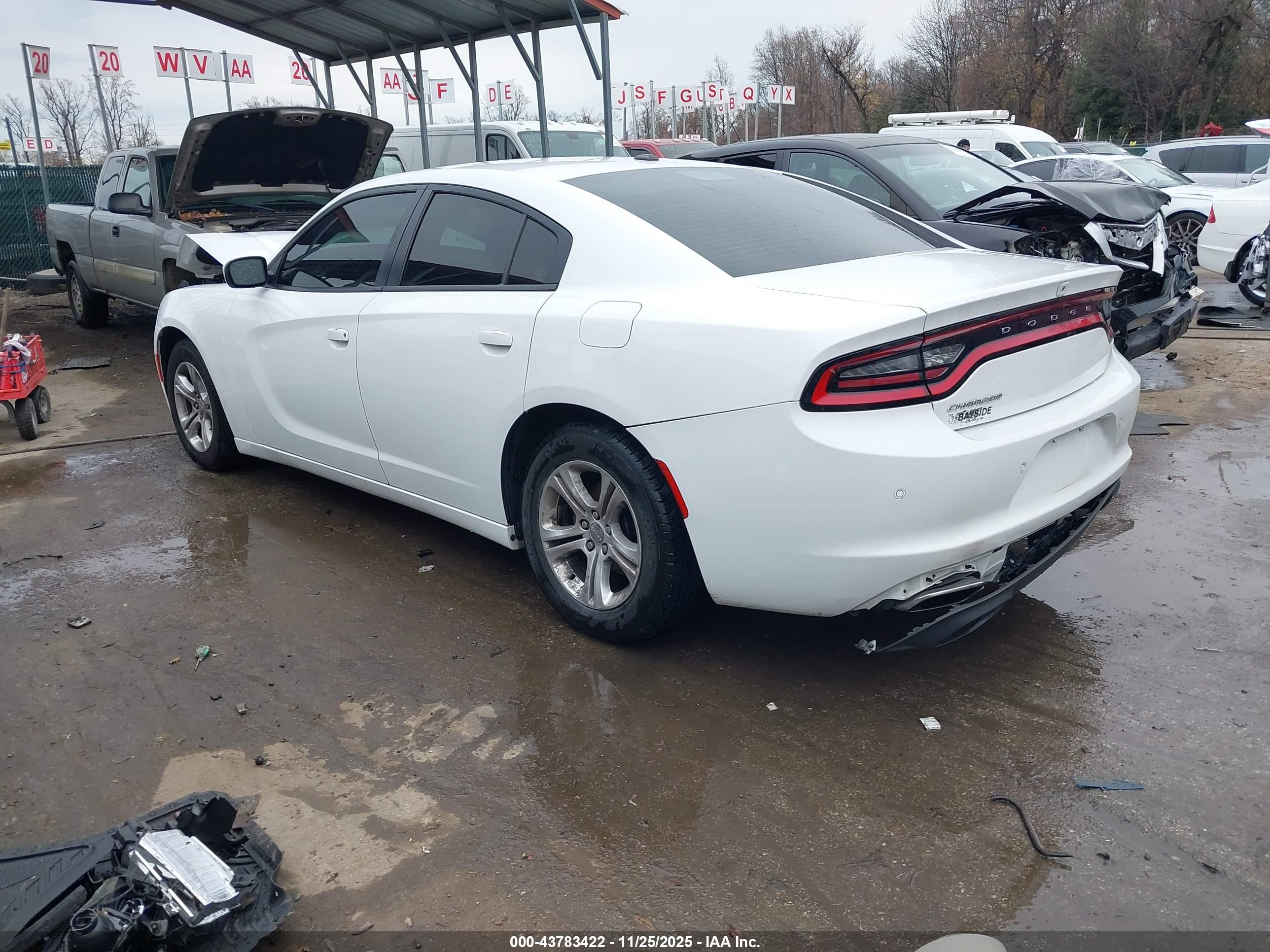 DODGE CHARGER image 3