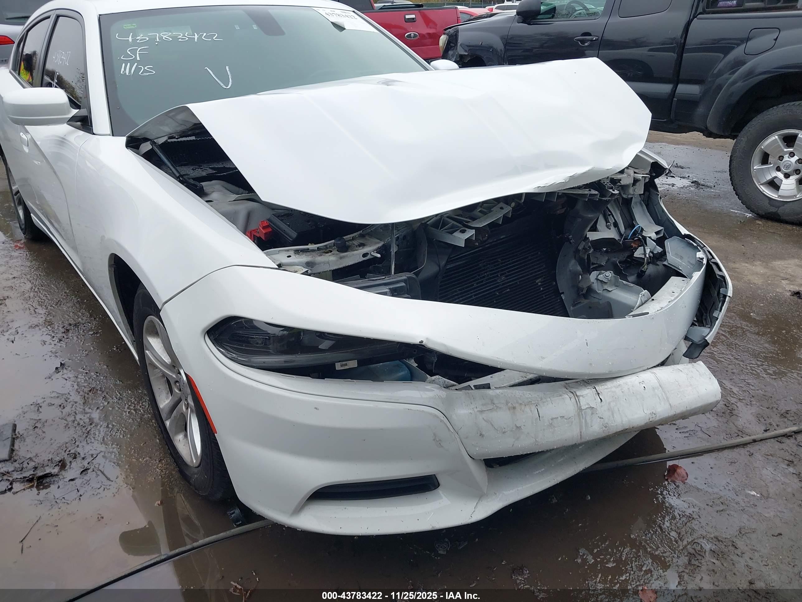 DODGE CHARGER image 6