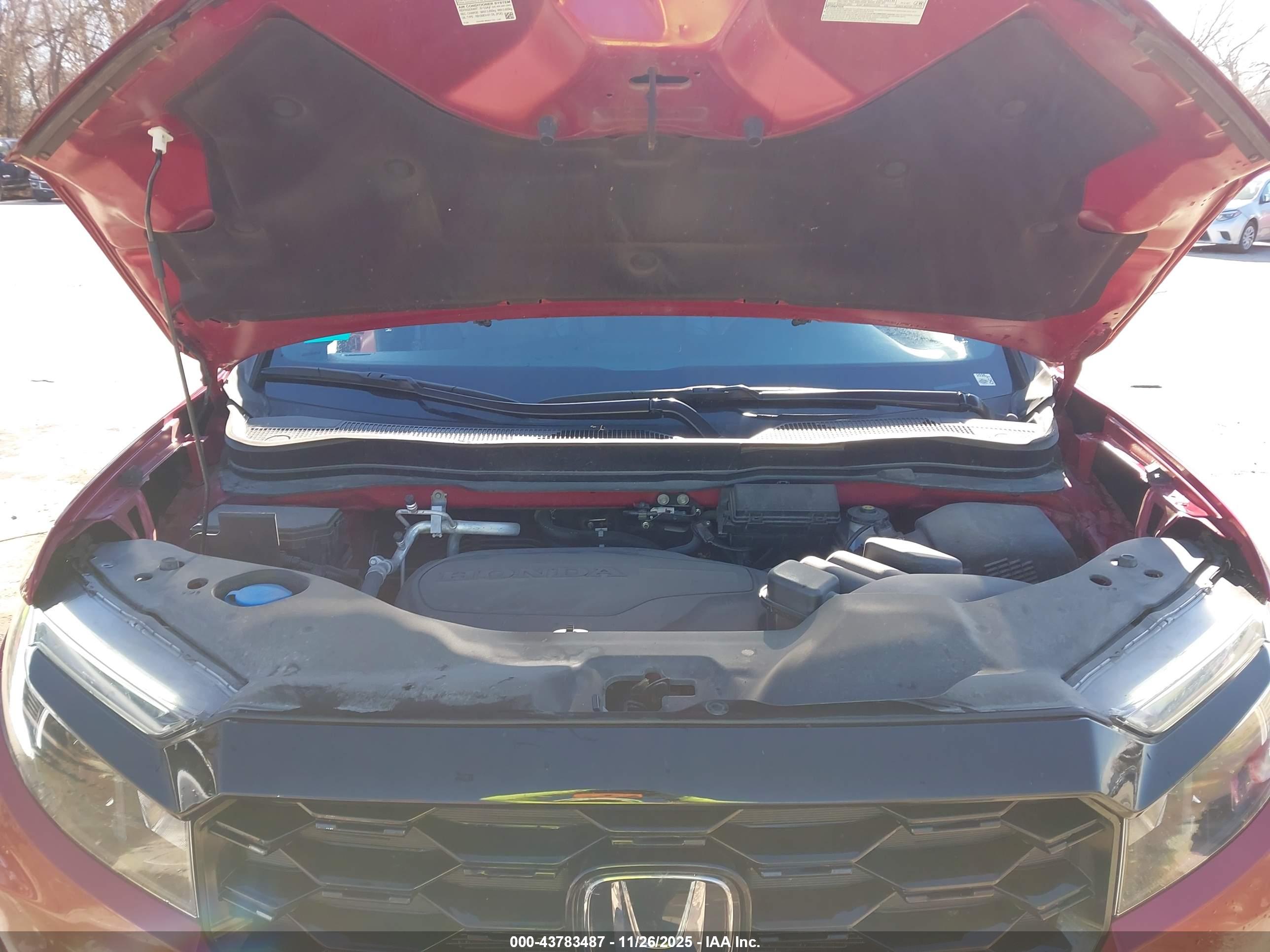 HONDA PASSPORT image 10