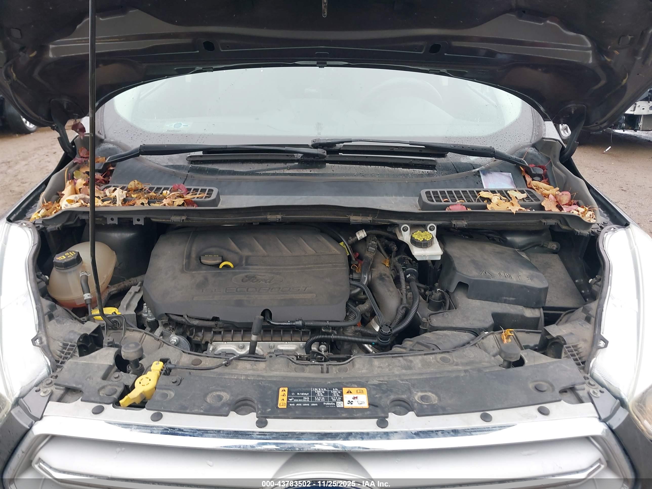 FORD ESCAPE image 10