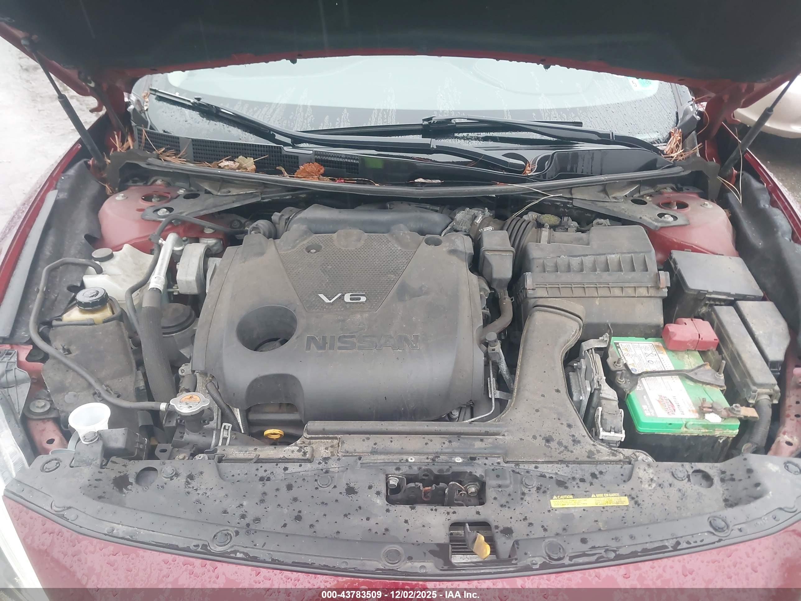NISSAN MAXIMA image 10