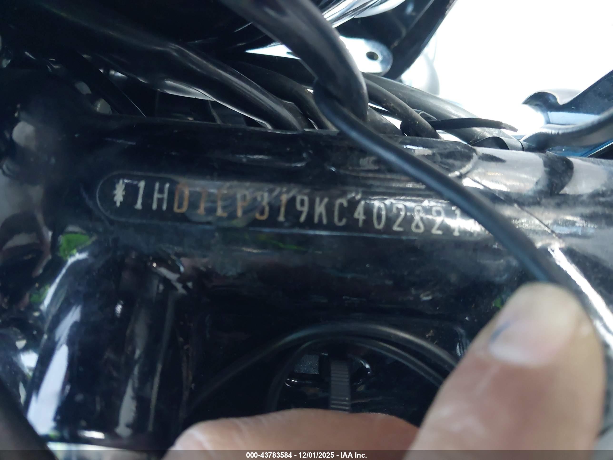 HARLEY-DAVIDSON XL1200 image 10