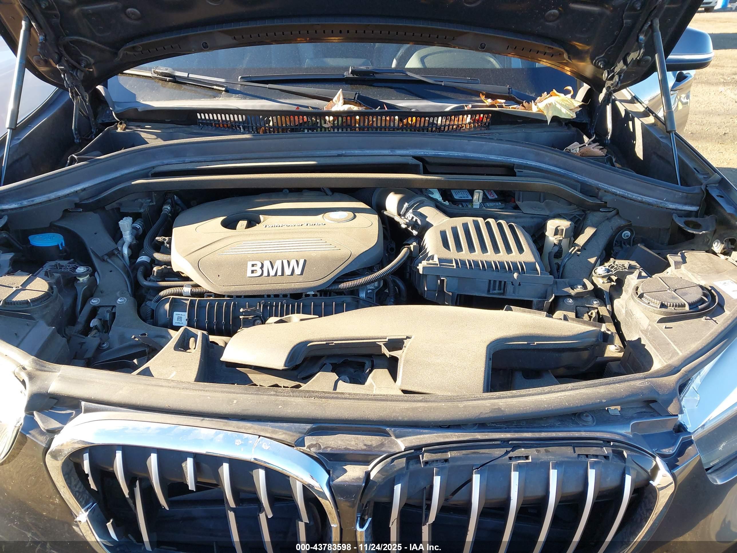 BMW X1 image 10