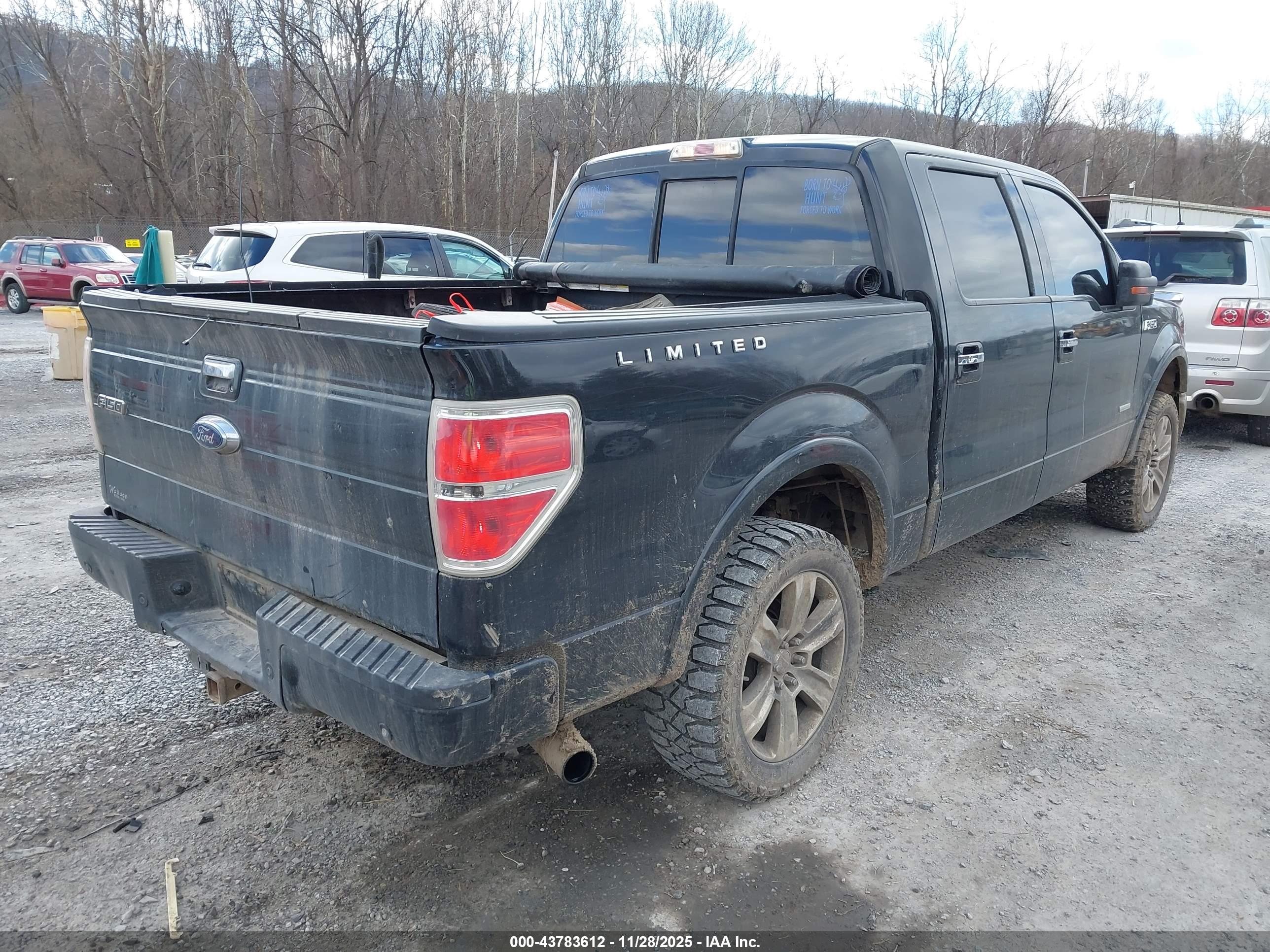 FORD F-150 image 4