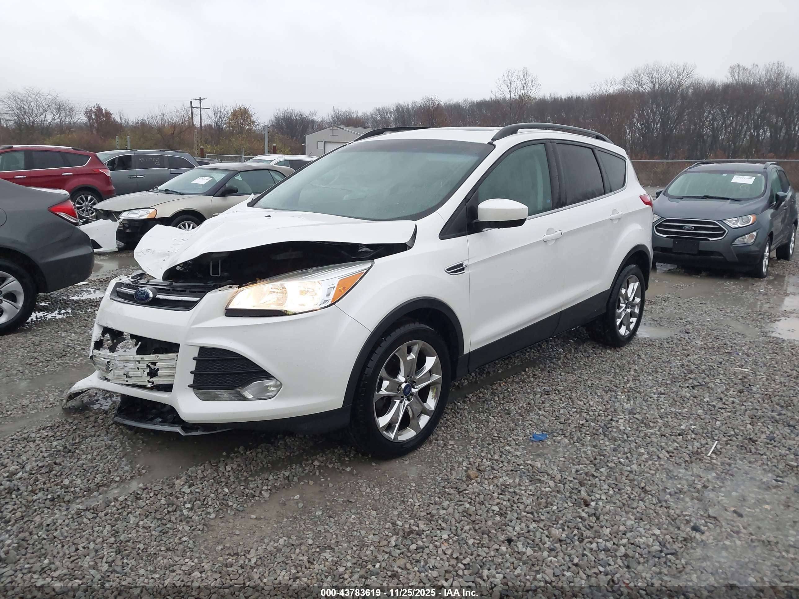 FORD ESCAPE image 2