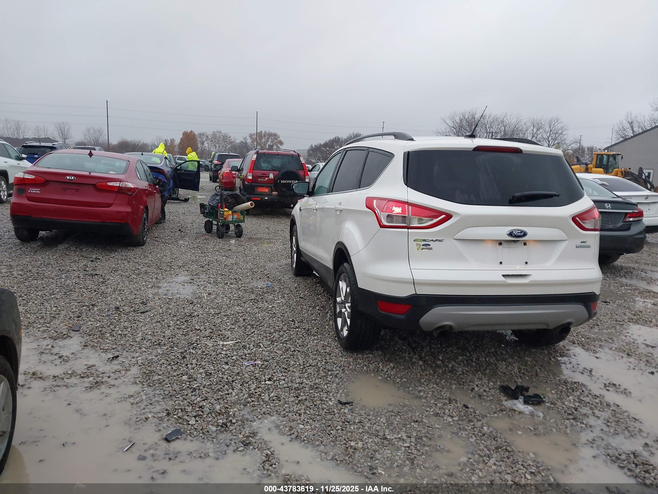FORD ESCAPE image 3