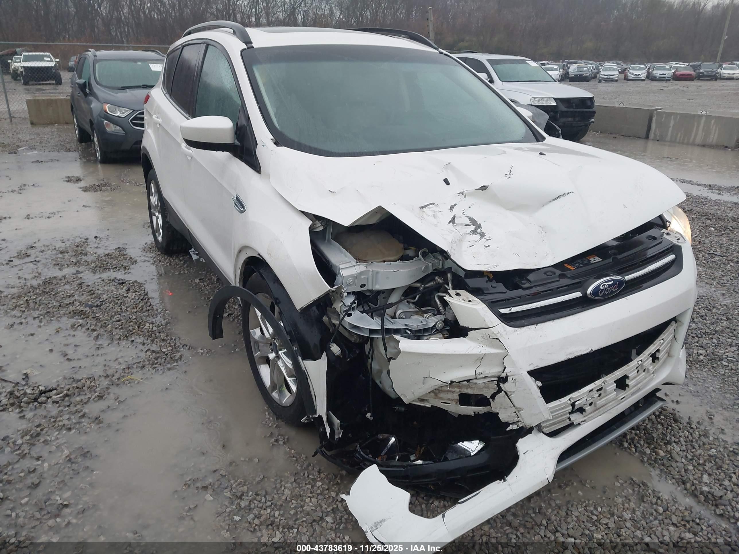FORD ESCAPE image 6