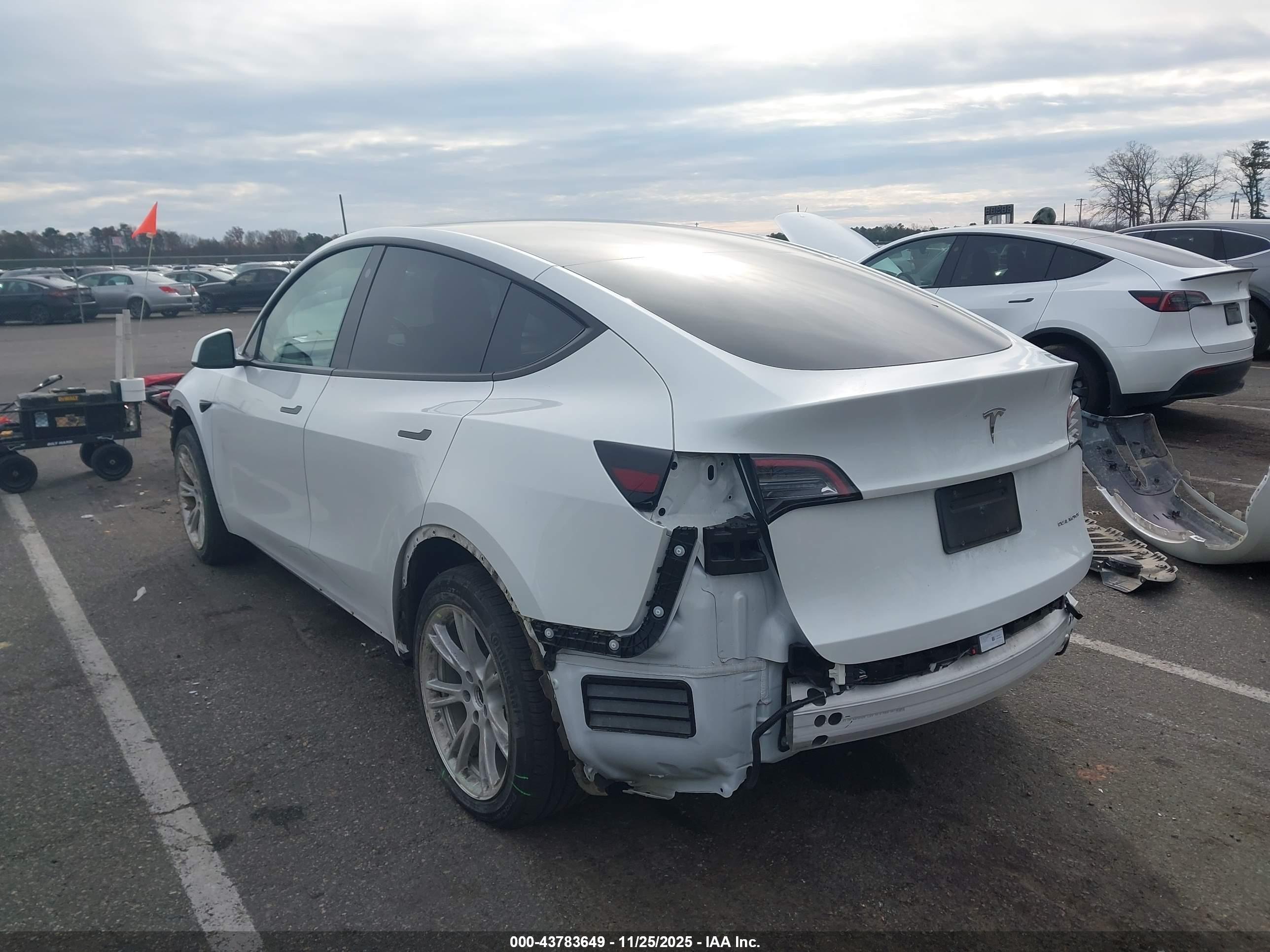 TESLA MODEL image 3