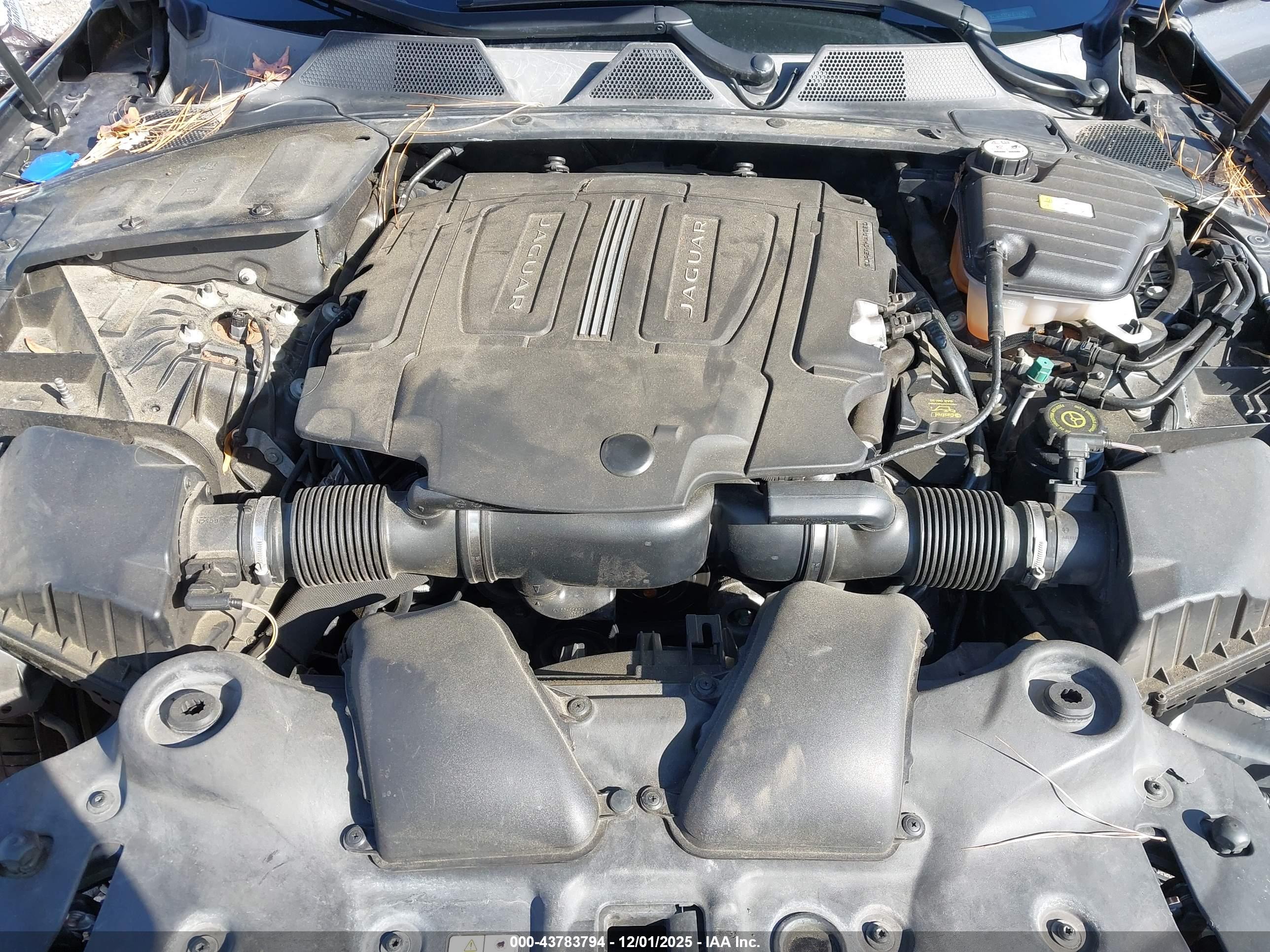 JAGUAR XJ image 10