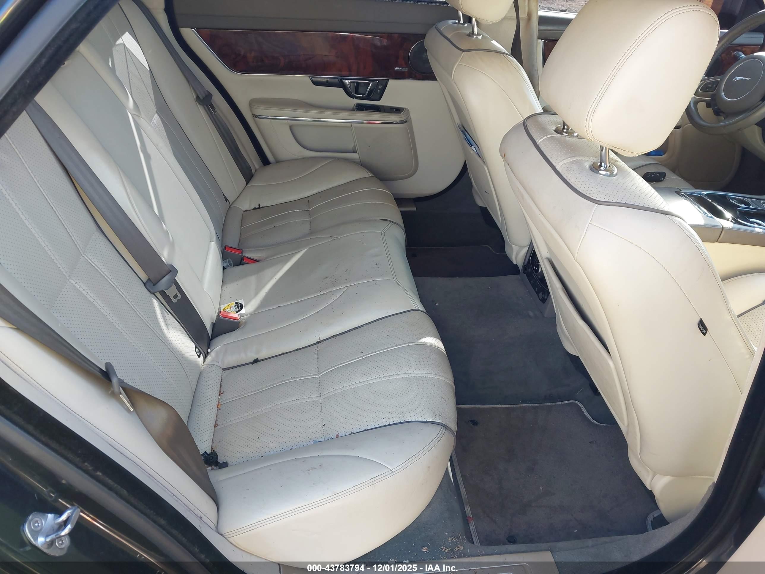 JAGUAR XJ image 8