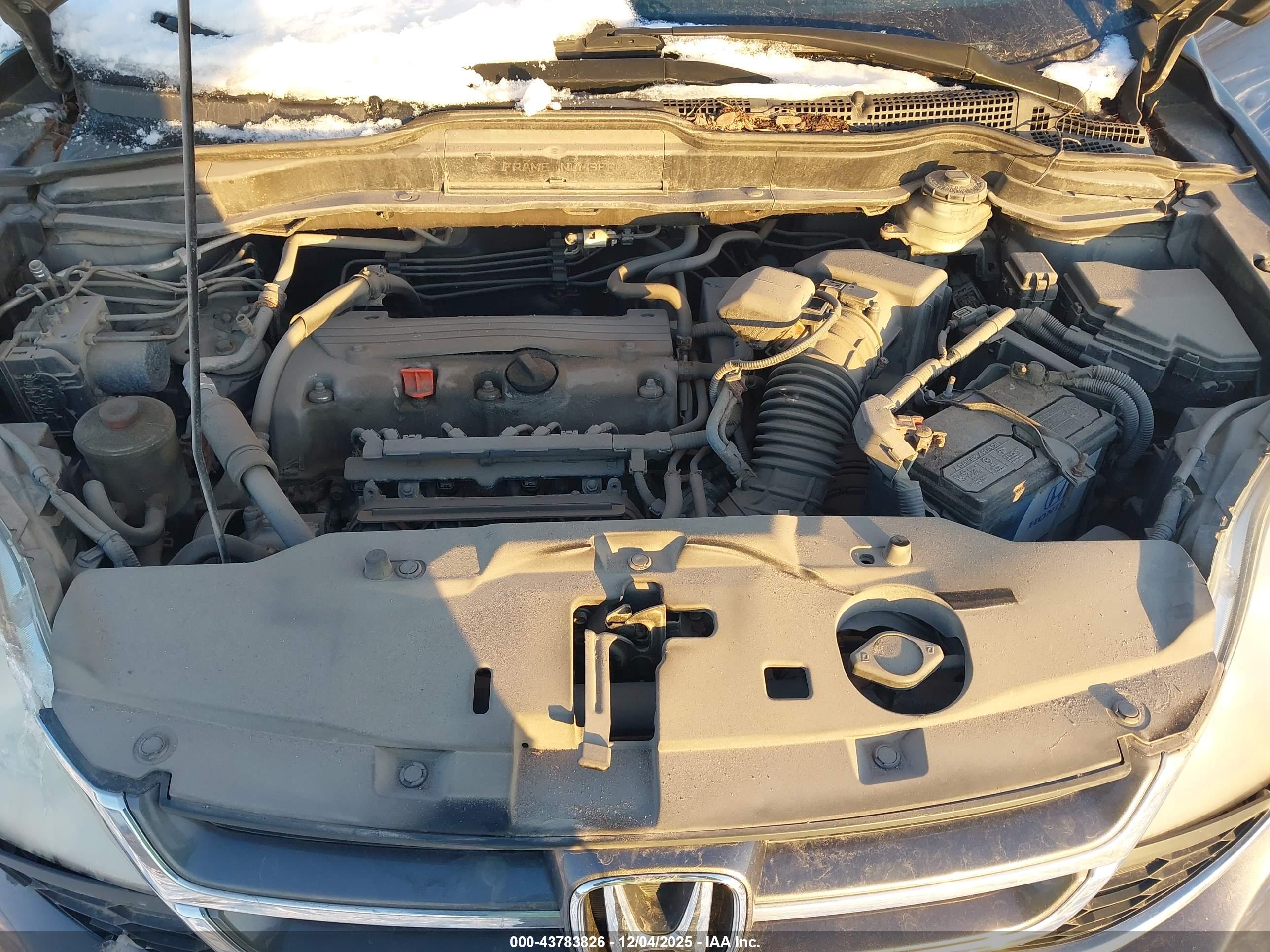 HONDA CR-V image 10