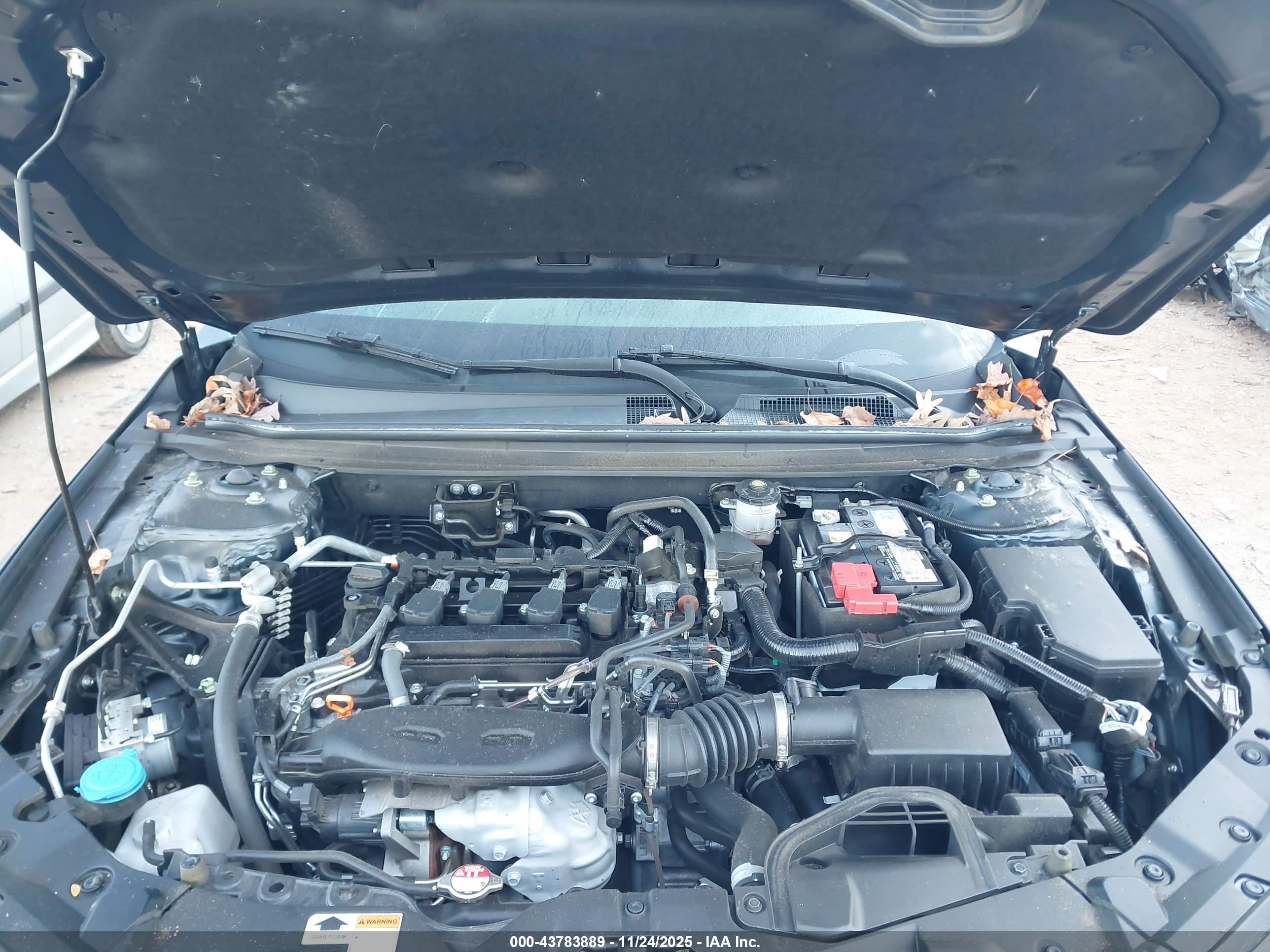 HONDA ACCORD image 10
