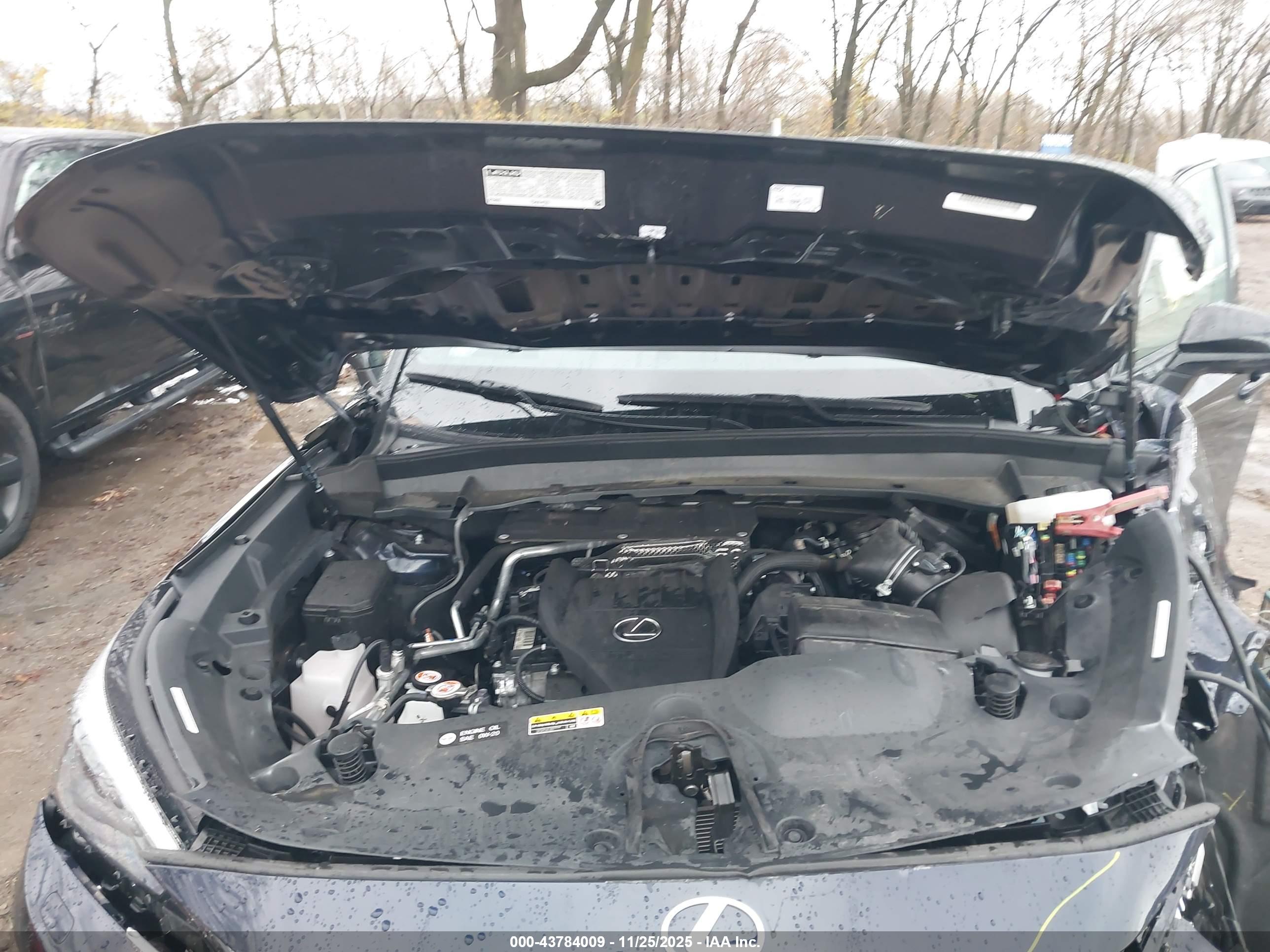 LEXUS TX image 10
