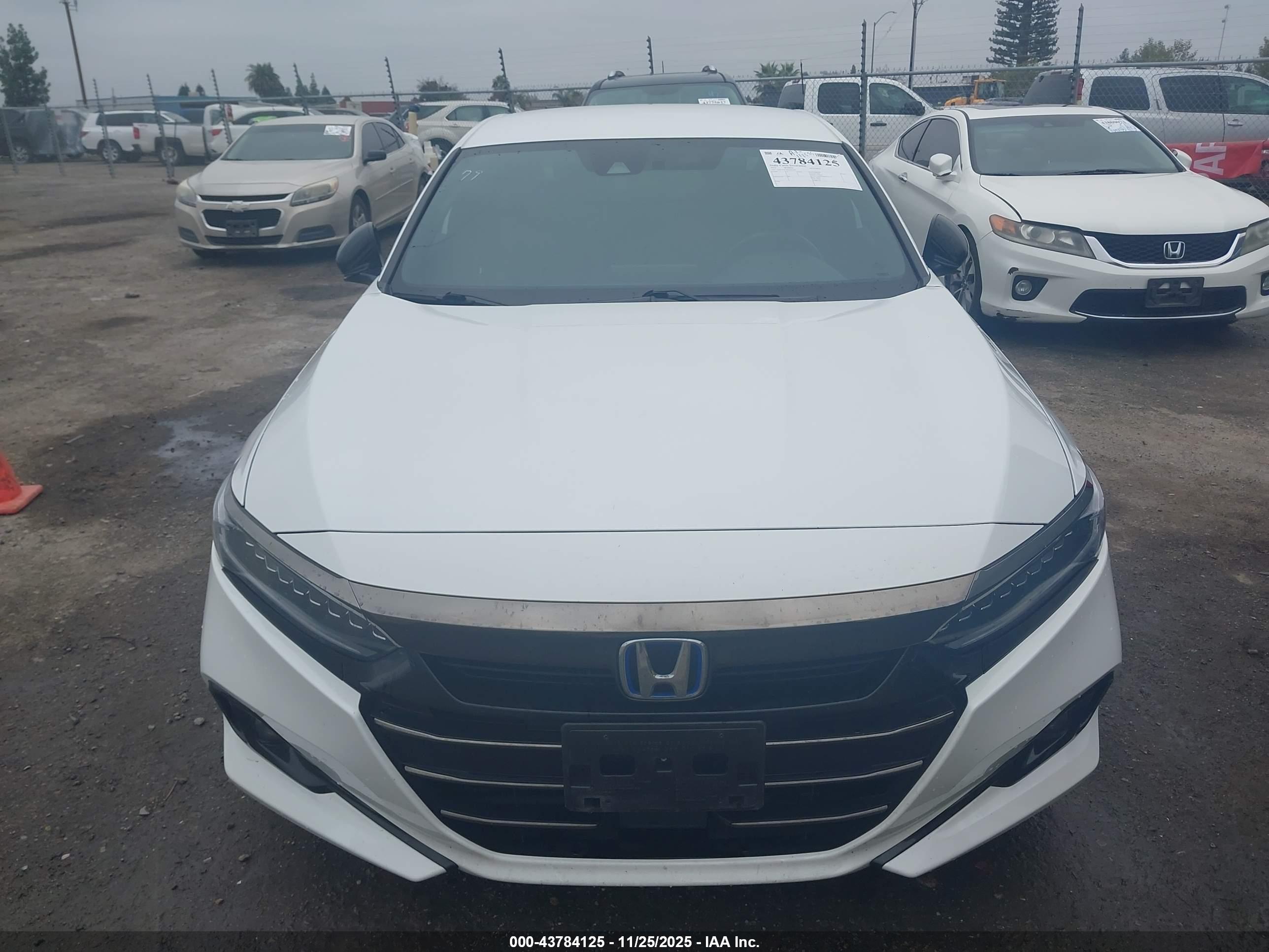 HONDA ACCORD image 6
