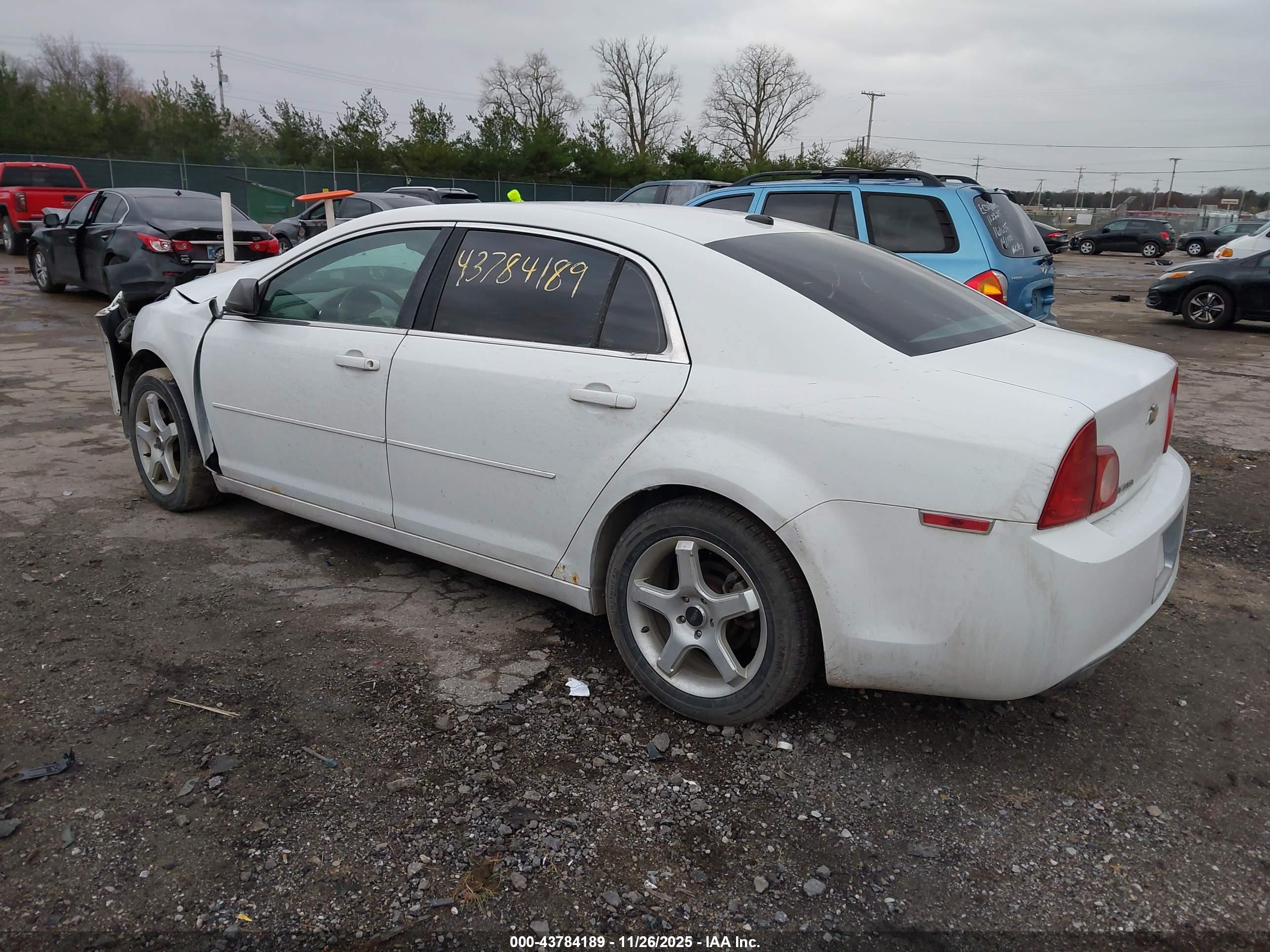 CHEVROLET MALIBU image 3