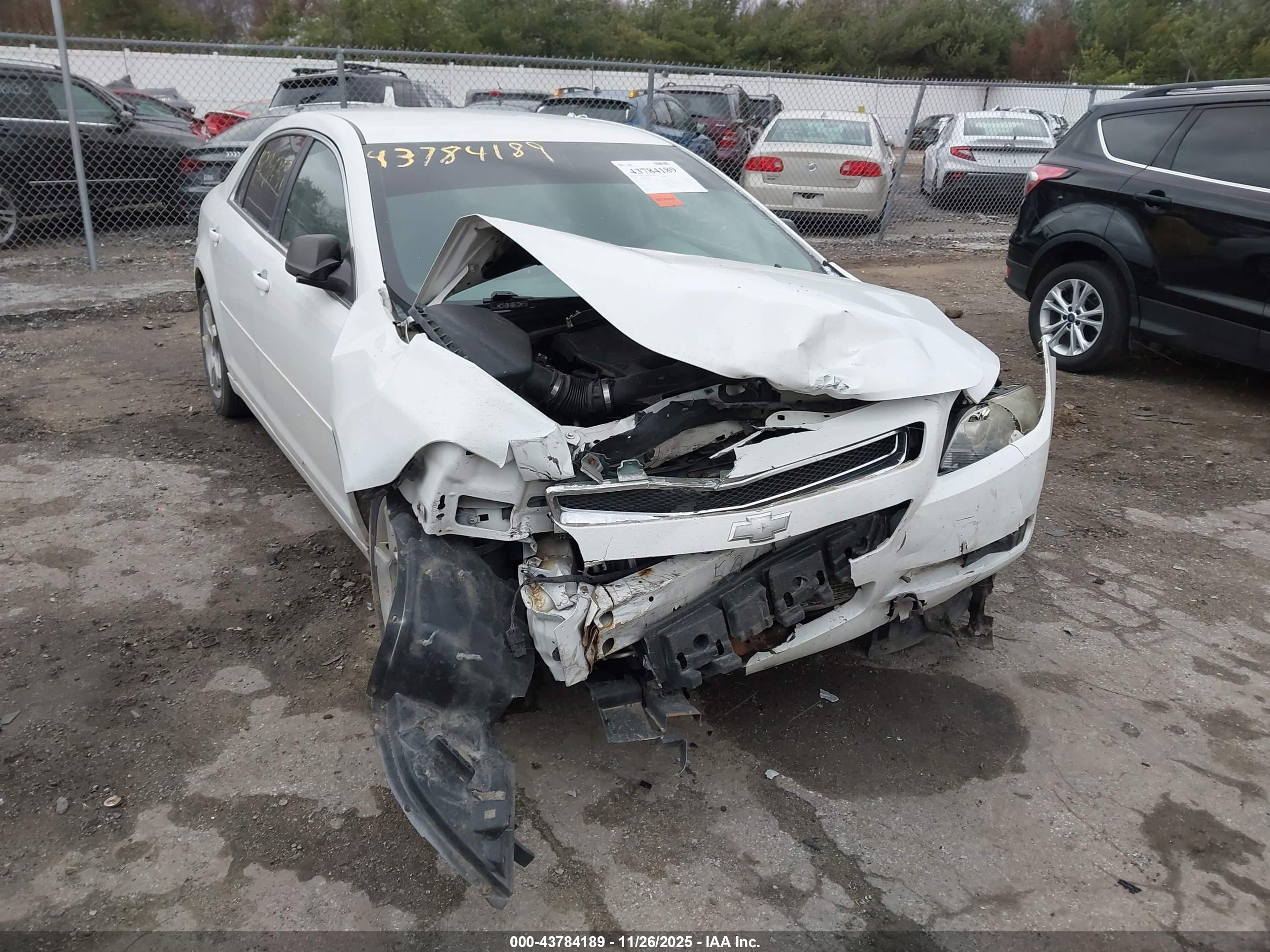 CHEVROLET MALIBU image 6