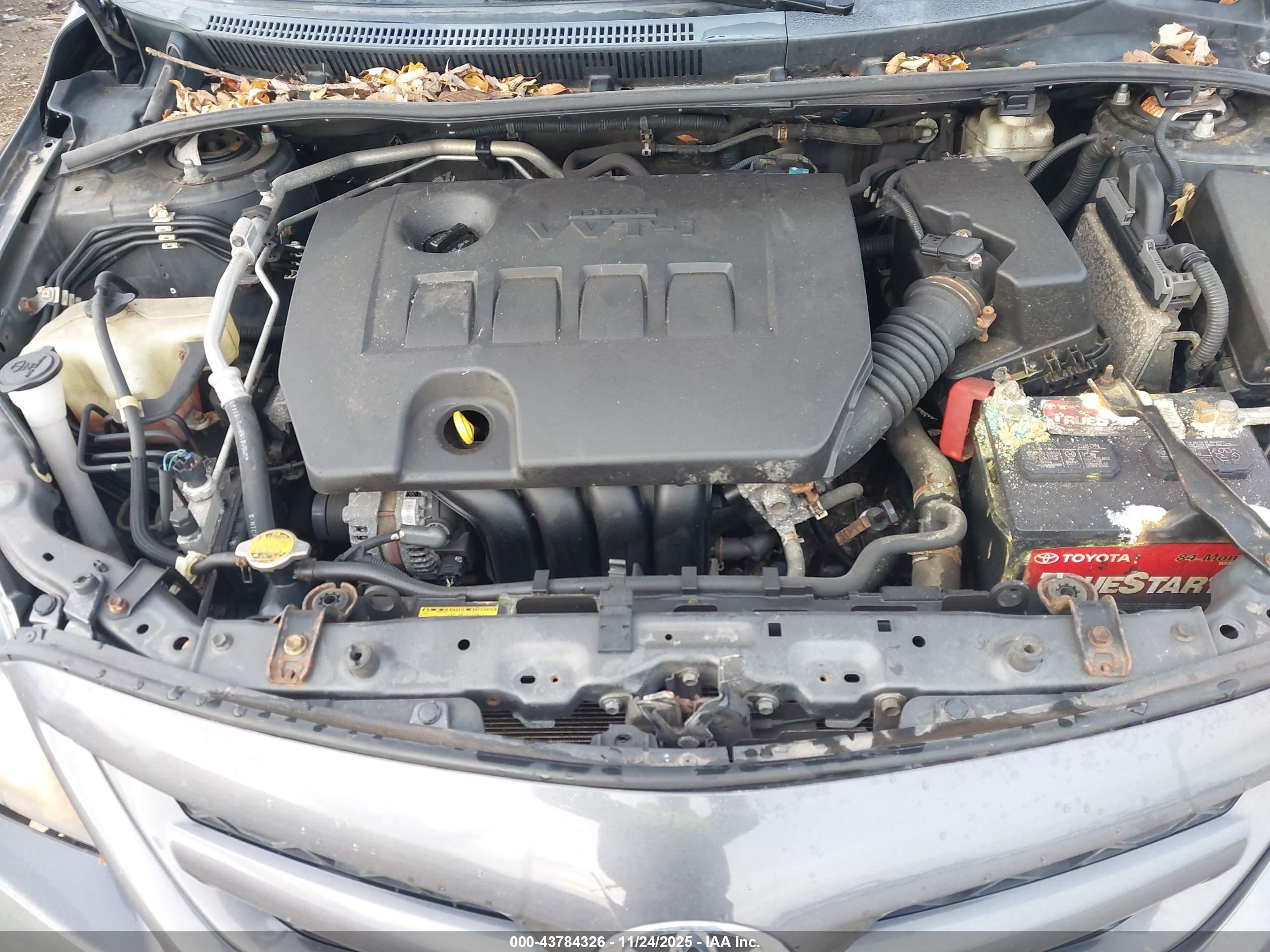 TOYOTA COROLLA image 10