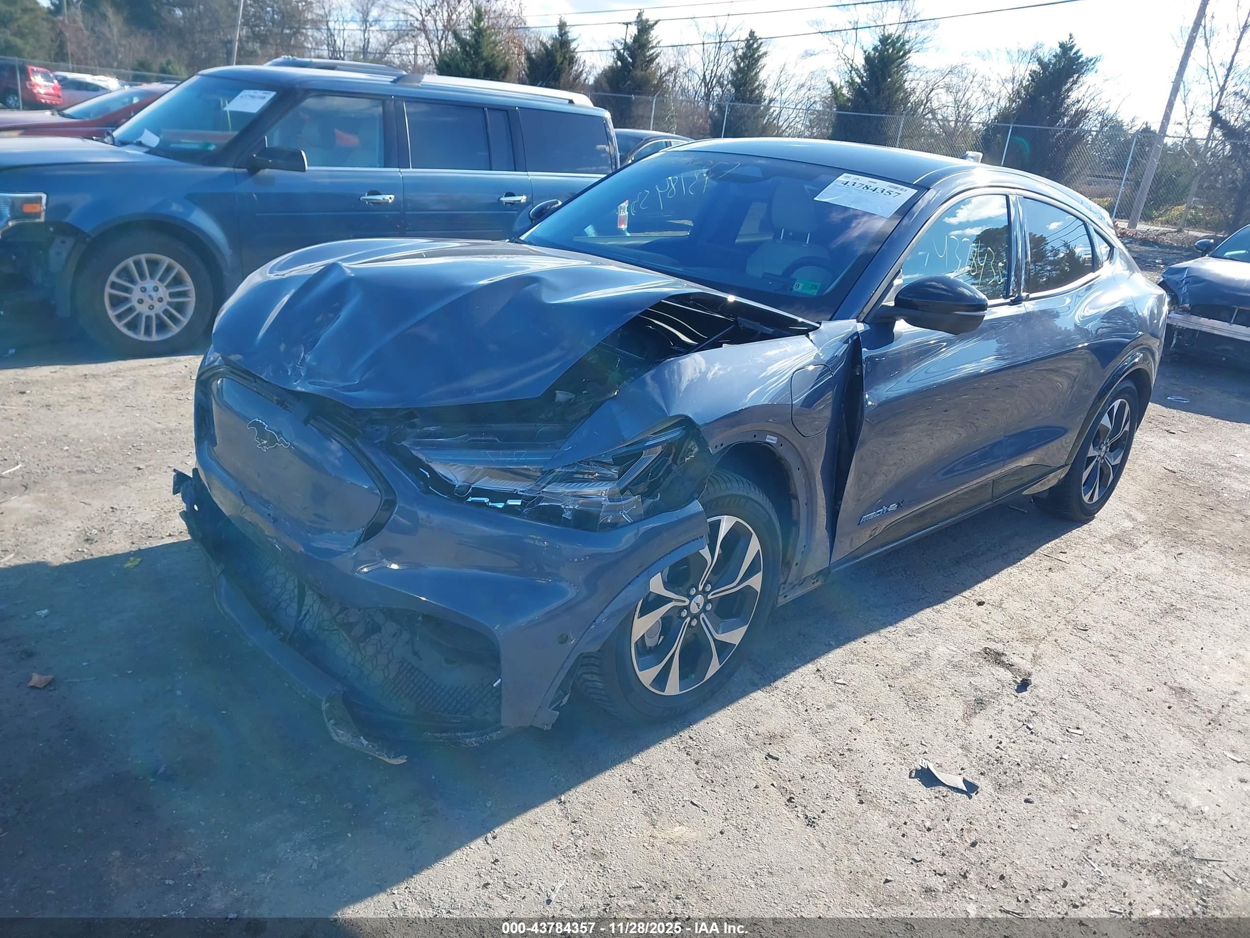 FORD MUSTANG image 2