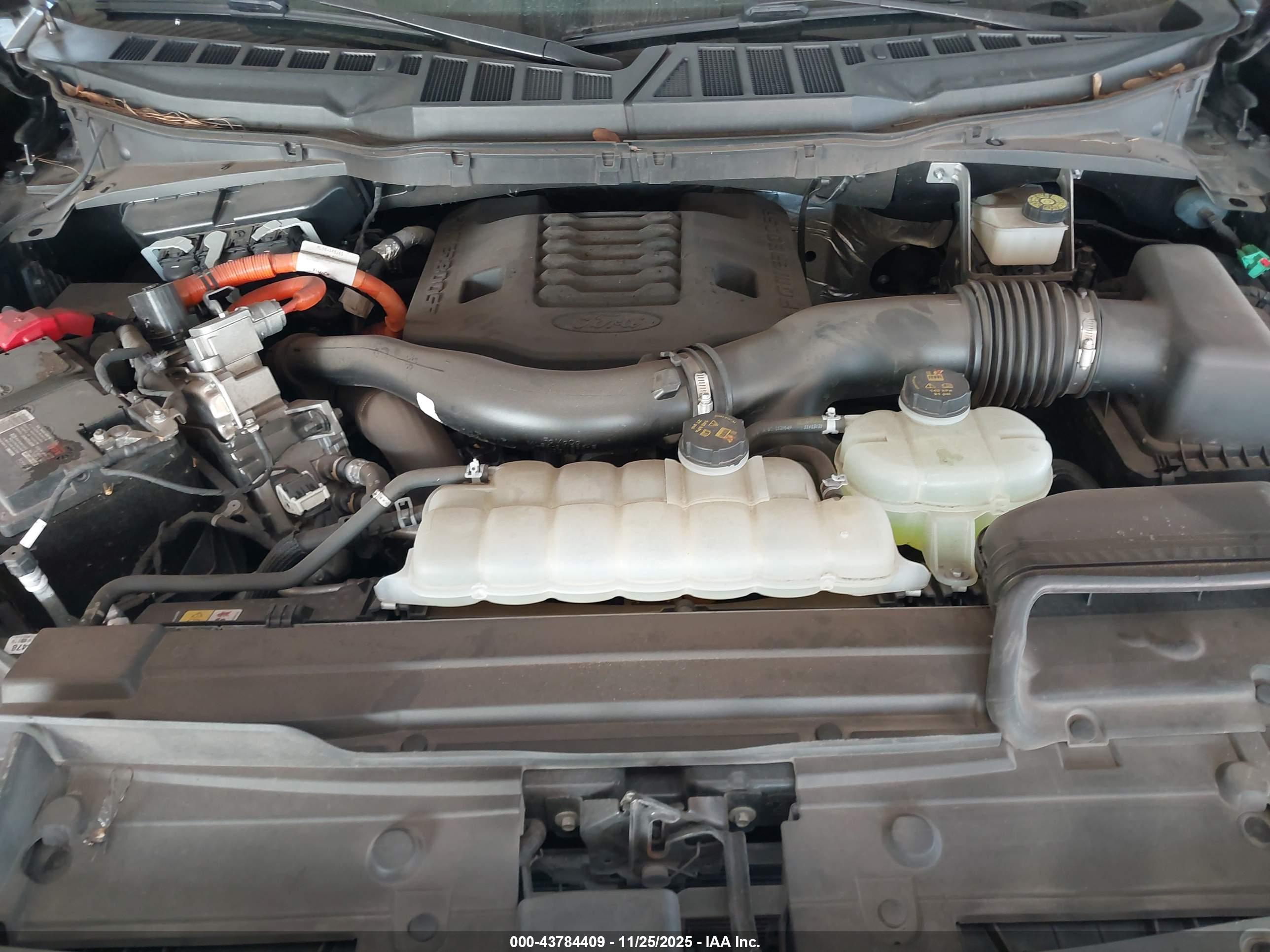 FORD F-150 image 10