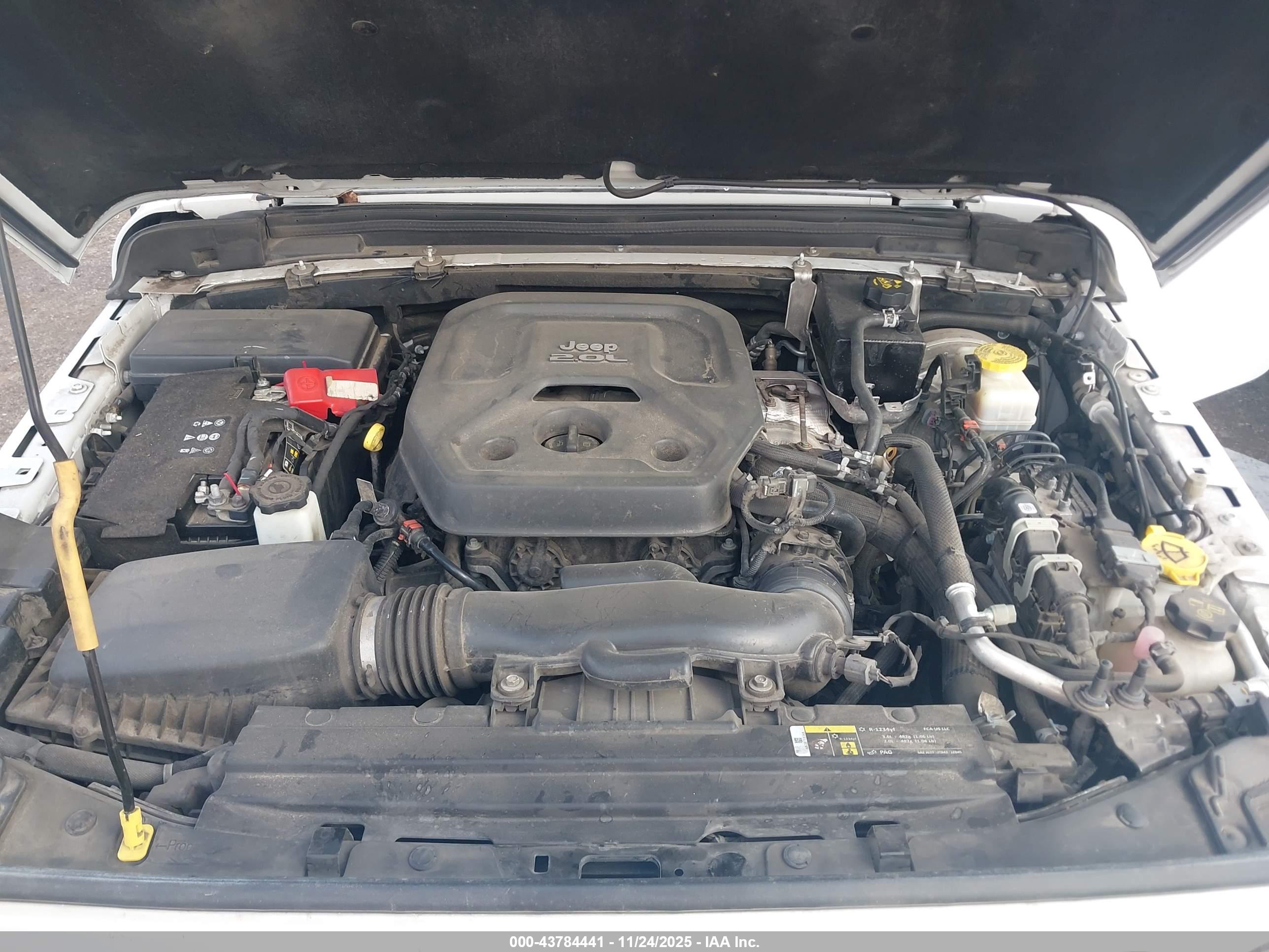 JEEP WRANGLER image 10