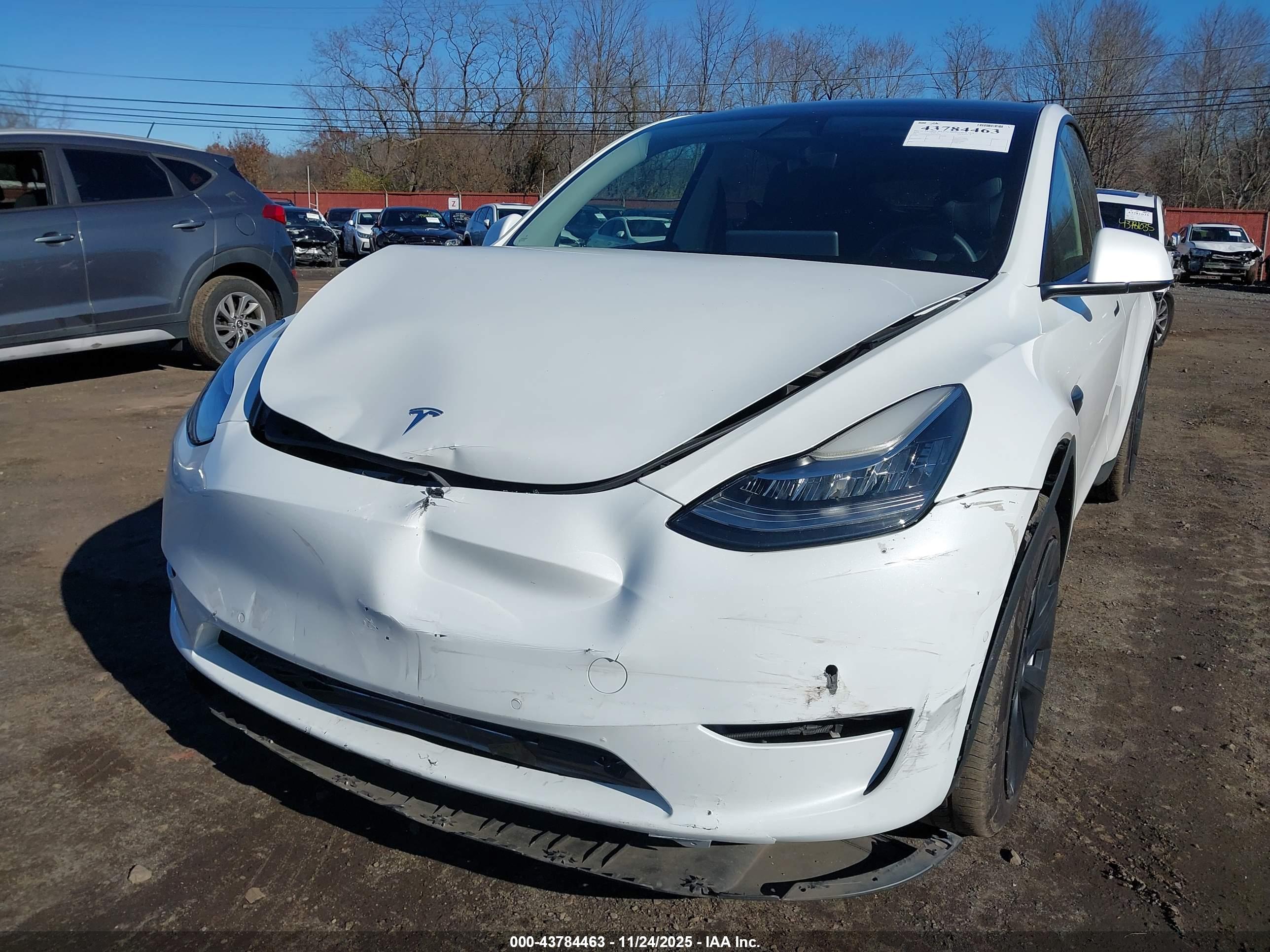 TESLA MODEL image 6