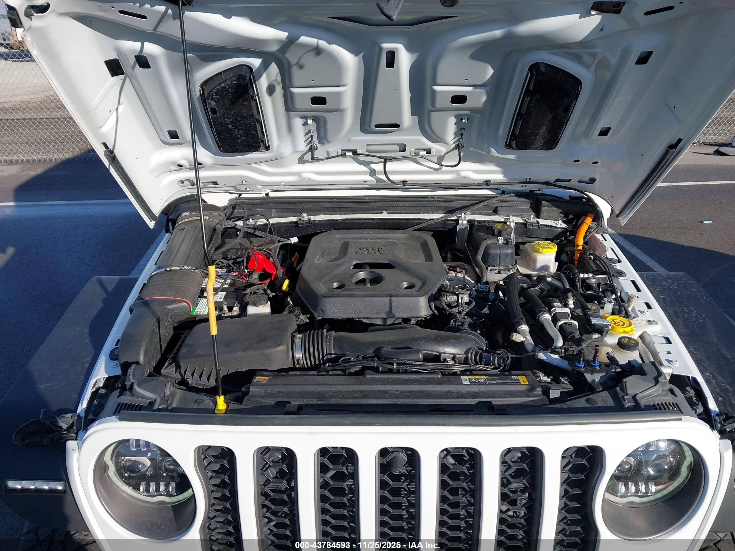 JEEP WRANGLER image 10