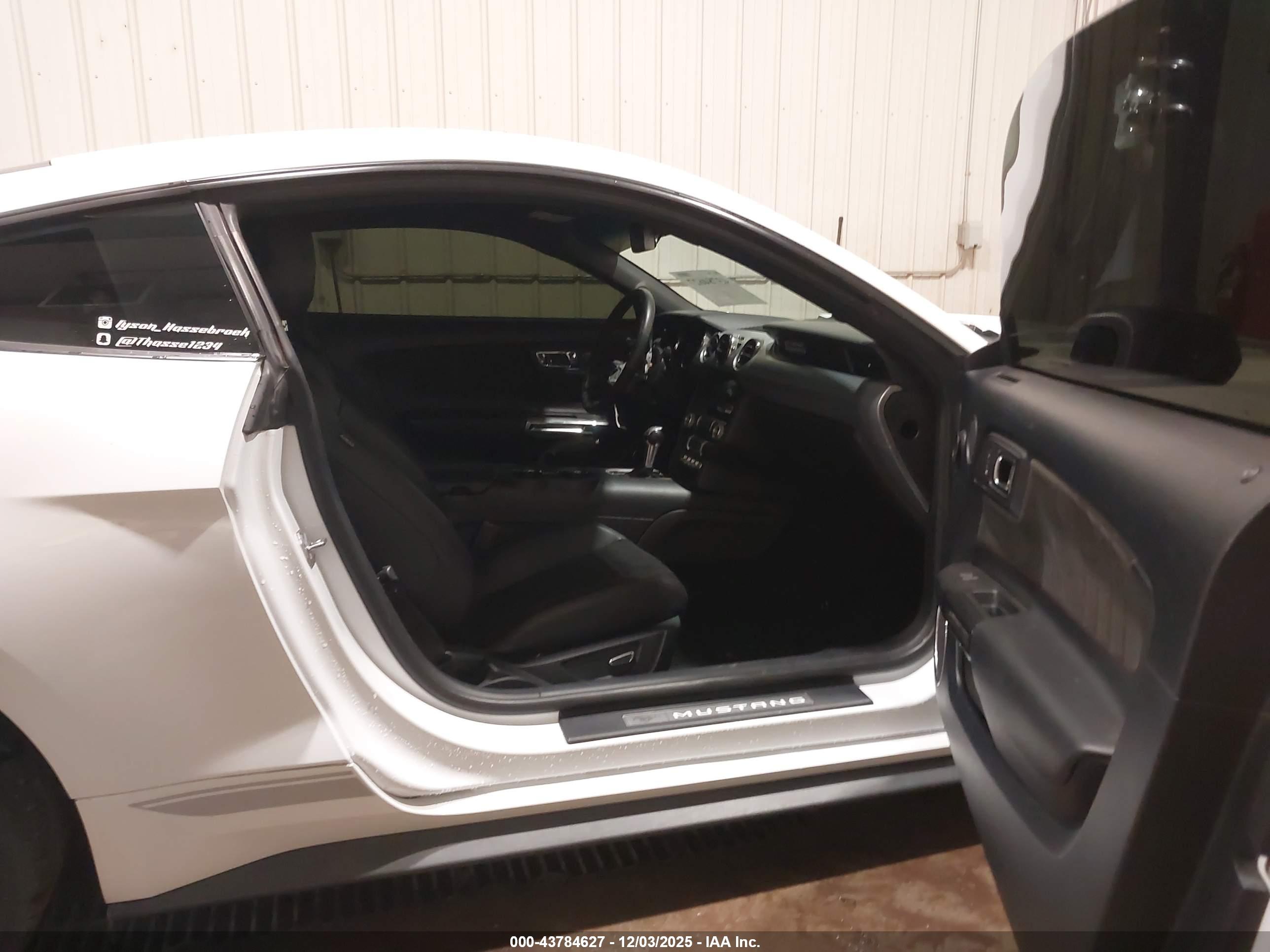 FORD MUSTANG image 5