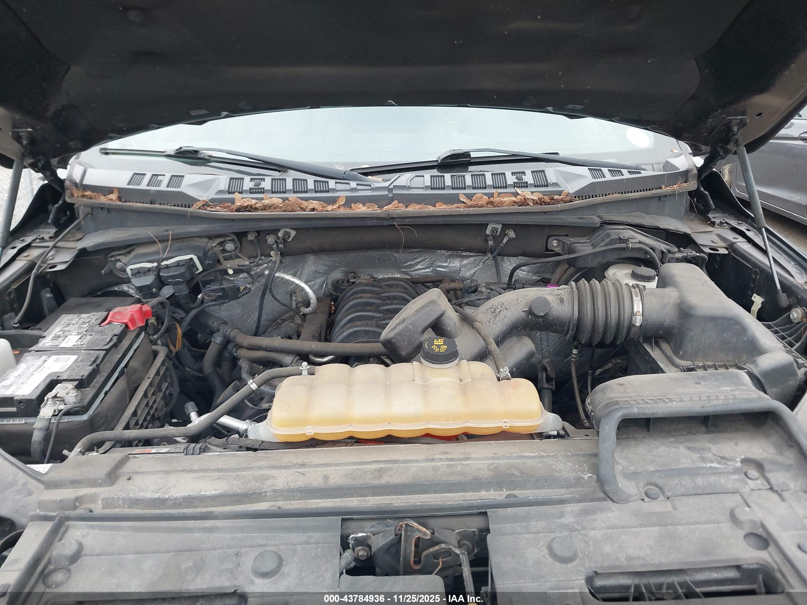 FORD F-150 image 10