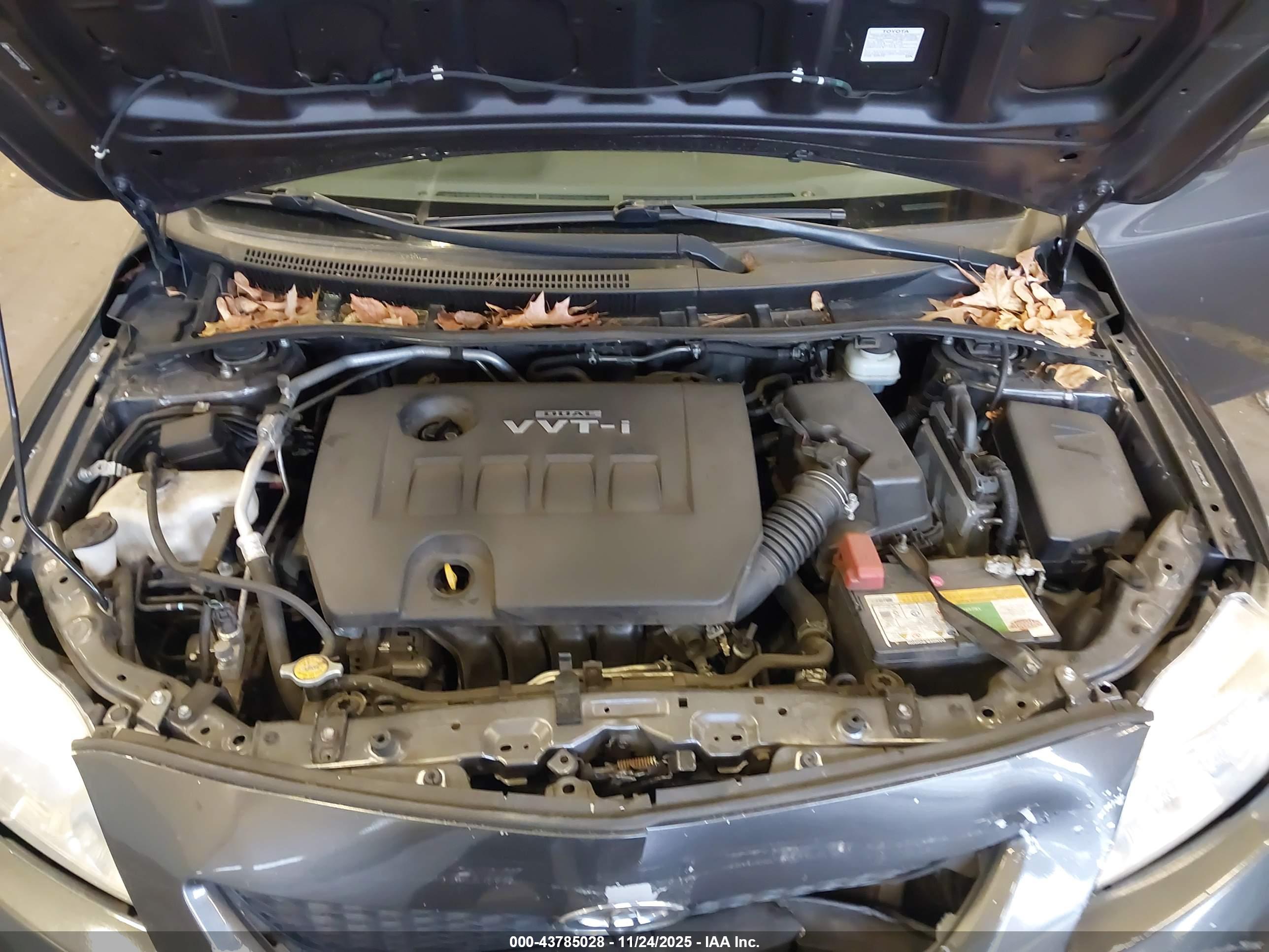 TOYOTA COROLLA image 10