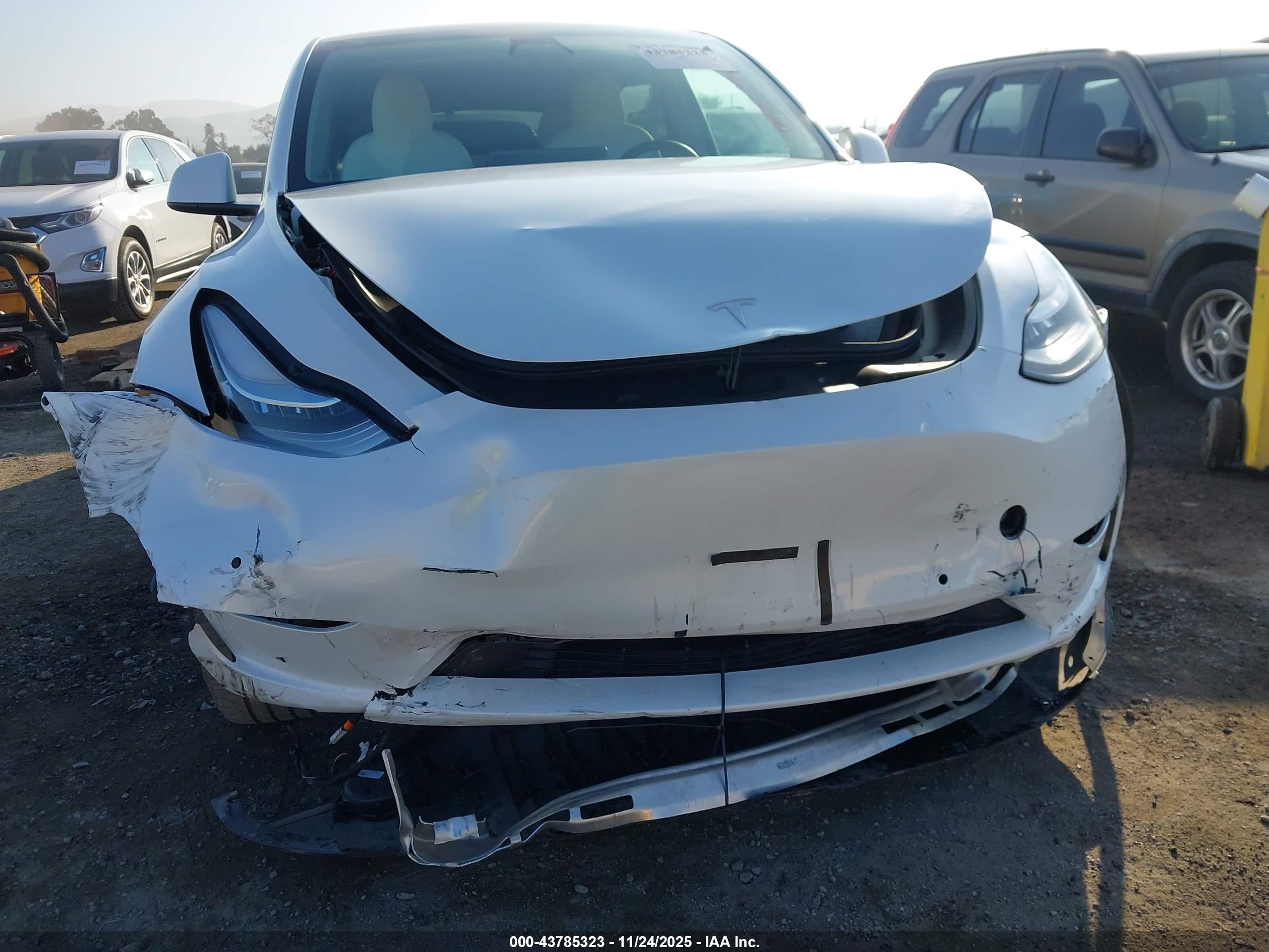 TESLA MODEL image 6