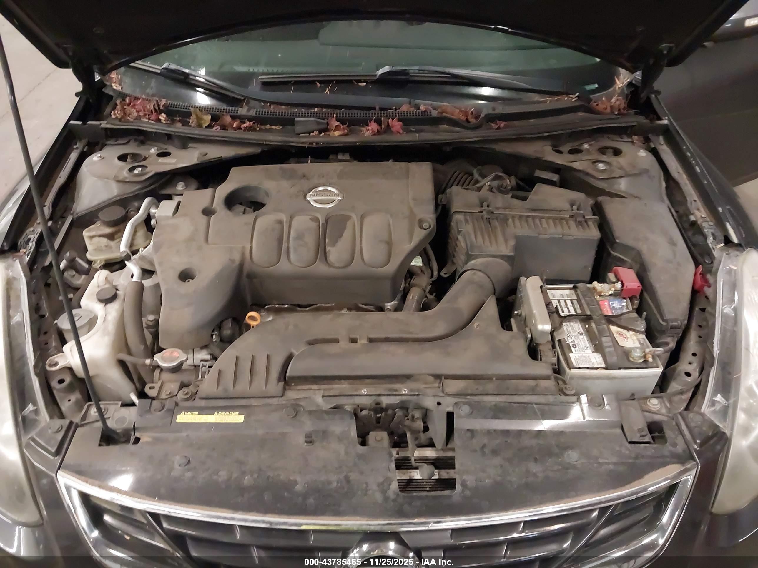 NISSAN ALTIMA image 10
