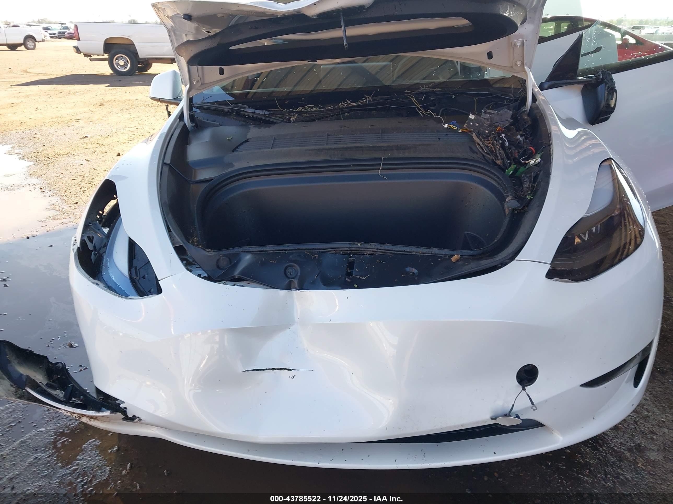 TESLA MODEL image 10